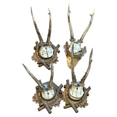 Antique Four Deer Antler Mount Trophy Black Forest Carved Wood Plaque German Folk Art 