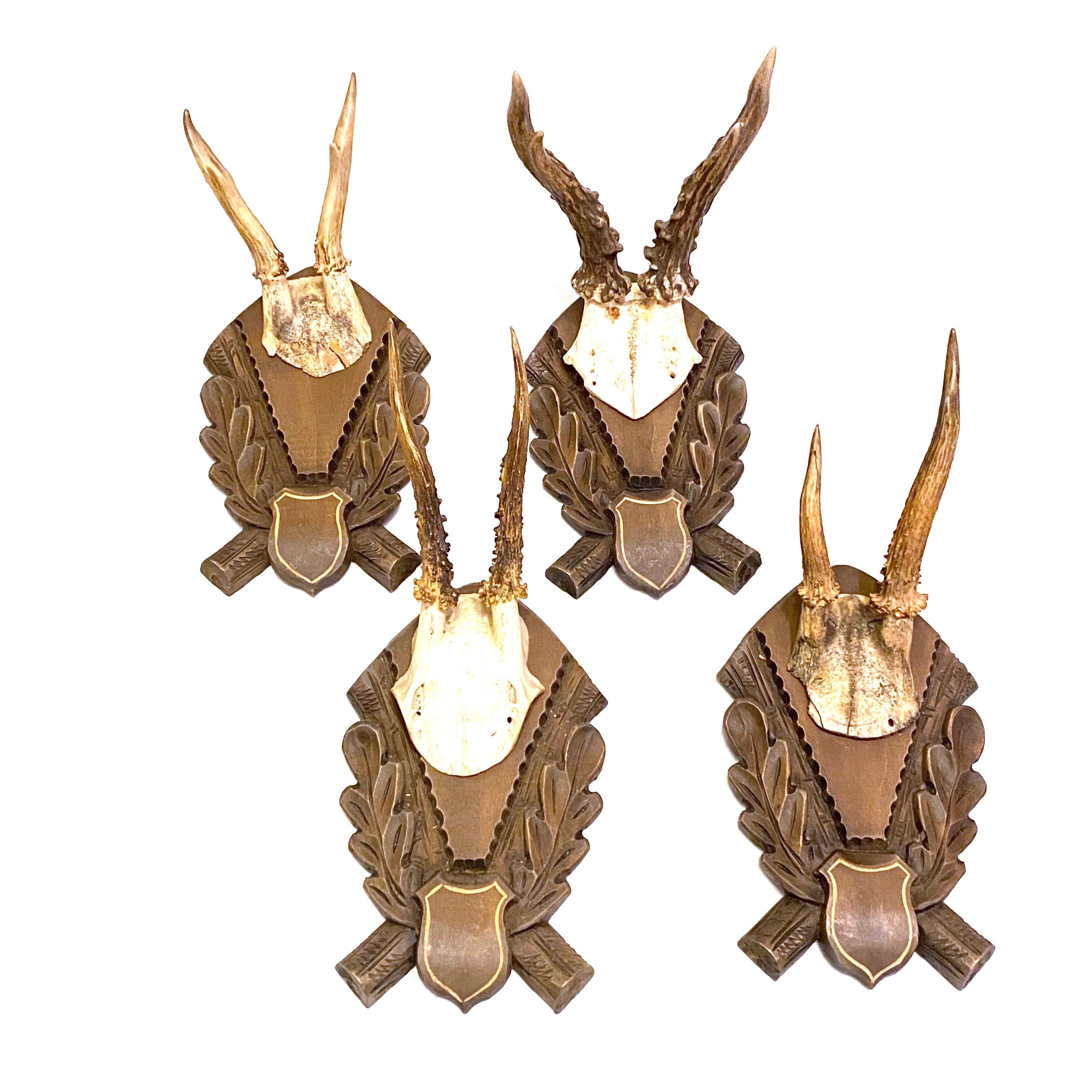 Four Deer Antler Mount Trophy on Black Forest Carved Wood Plaque, German, 1960s 4