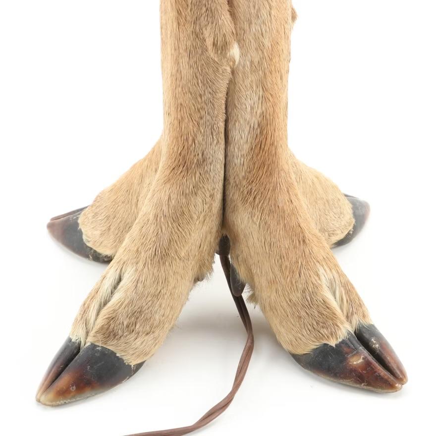 Rustique Lampe de table Taxidermy à quatre capuchons de cerfs en vente