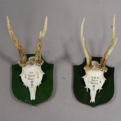 Four-Deer Trophies on Plaques from Palace Salem, Germany