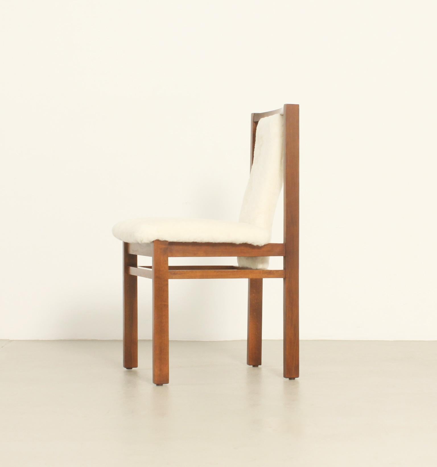 Four Dining Chairs by Jordi Vilanova in Oak Wood and Sheepskin, Spain, 1960's For Sale 3