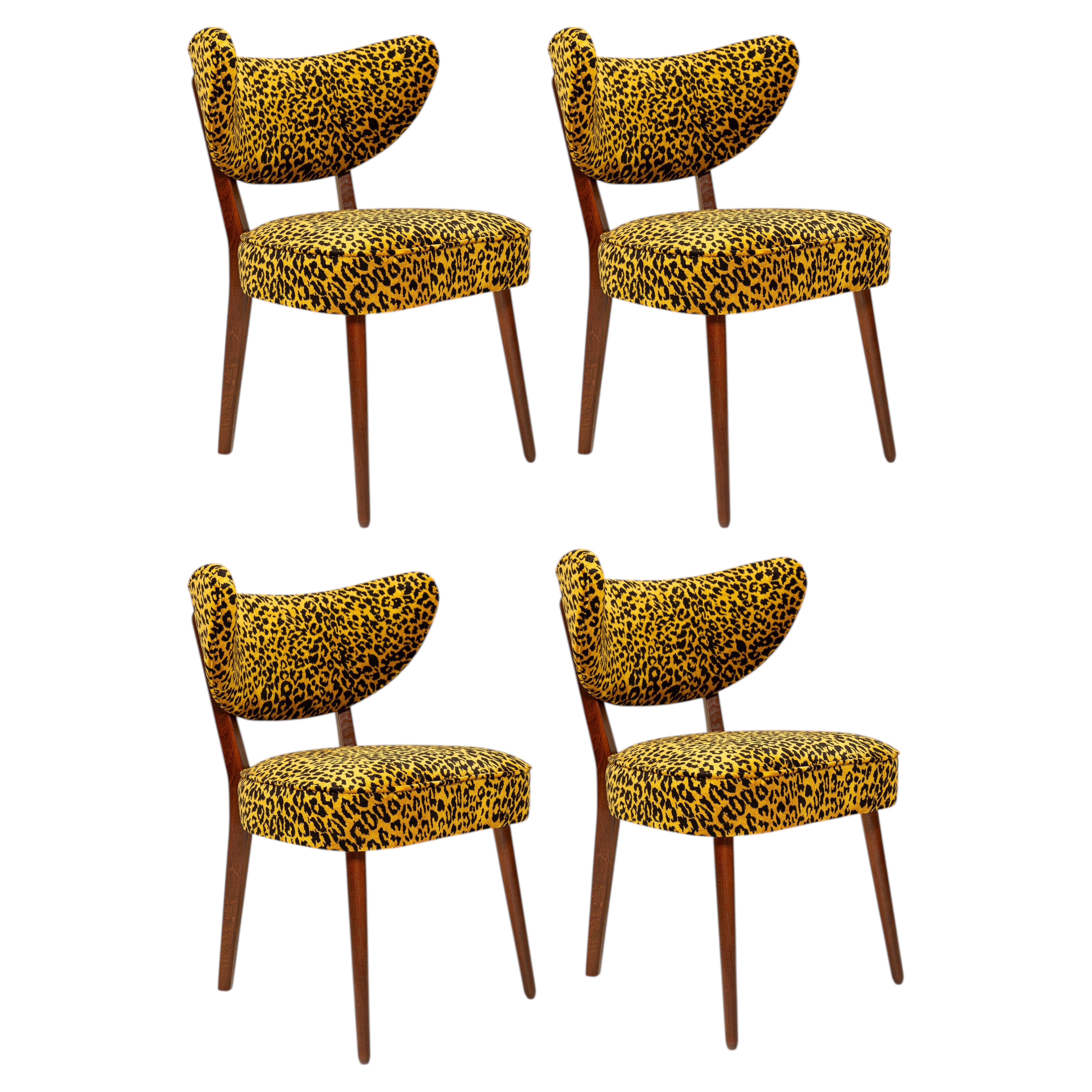 Four Dining Chairs, Leopard Velvet by Edmond Petit, Walnut Wood, Vintola Studio