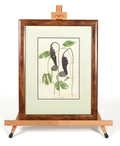 Four Early 19th Century Hand Colored Botanical Drawings
