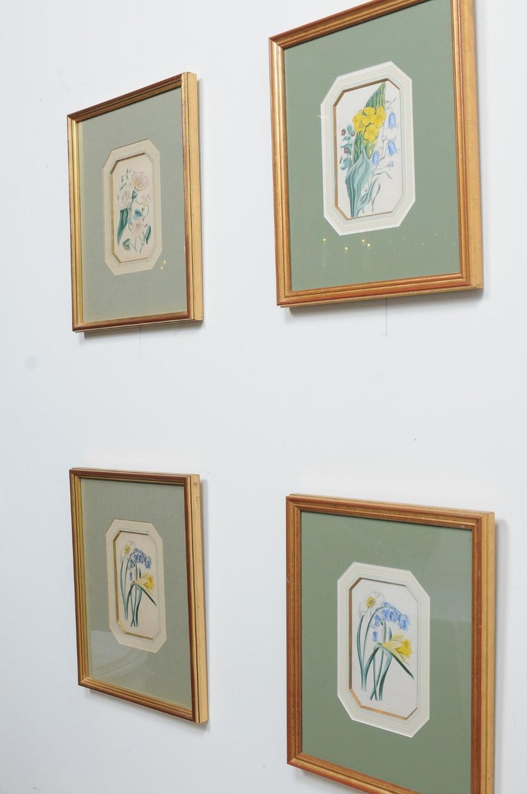 Four English 20th Century Botanical Prints with Yellow, Blue and White Flowers For Sale 8