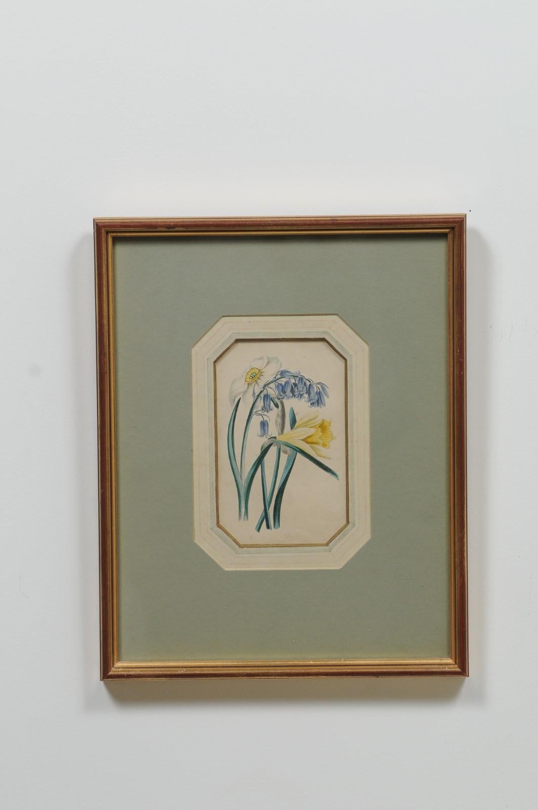 Four English 20th Century Botanical Prints with Yellow, Blue and White Flowers In Good Condition In Atlanta, GA