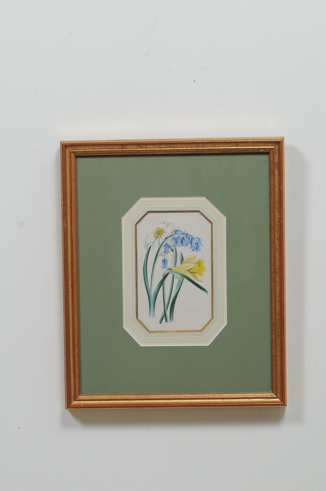 Glass Four English 20th Century Botanical Prints with Yellow, Blue and White Flowers