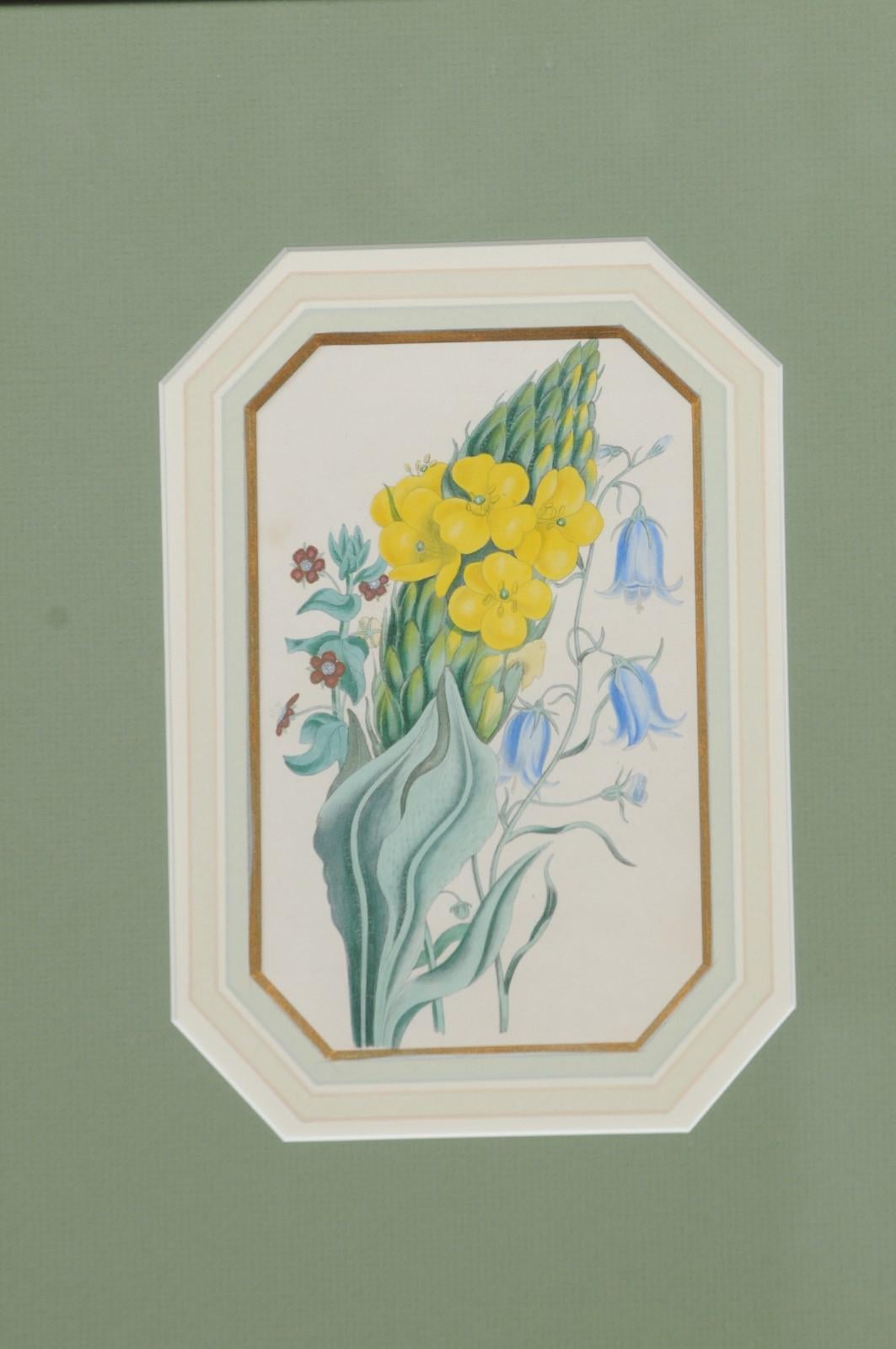 Four English 20th Century Botanical Prints with Yellow, Blue and White Flowers 4