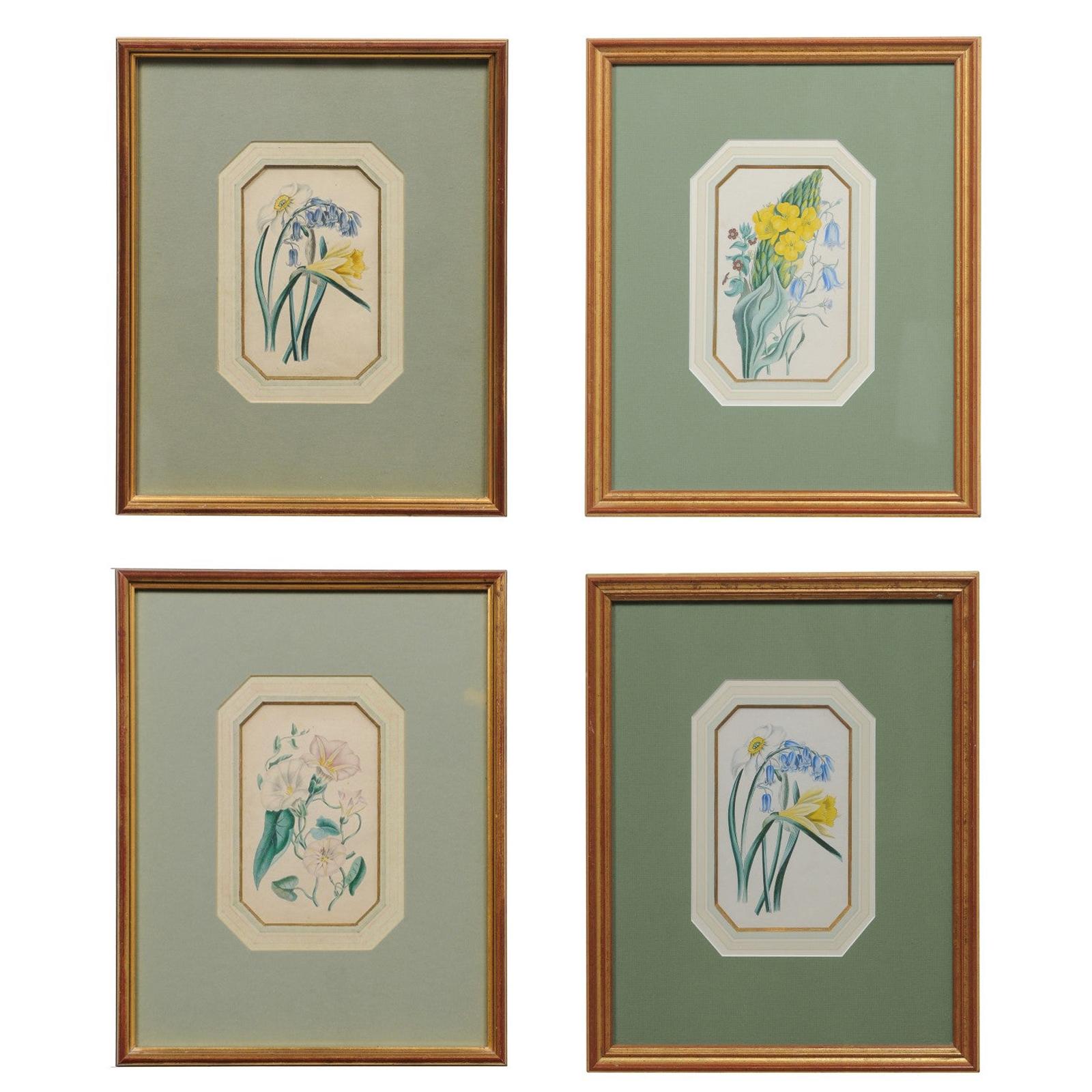 Four English 20th Century Botanical Prints with Yellow, Blue and White Flowers