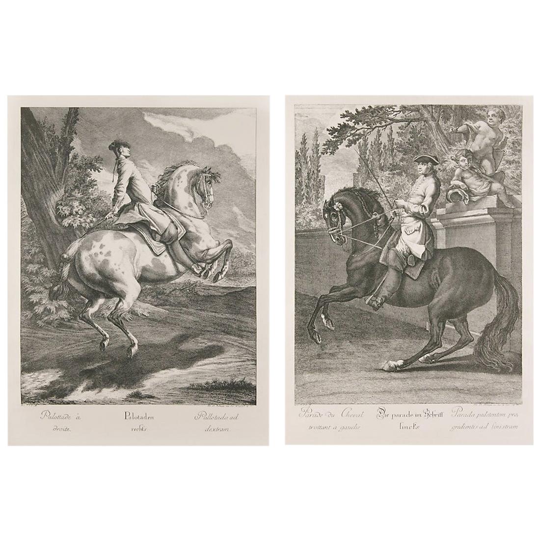 Four Equestrian Portraits Jon. El Ridinger Etchings