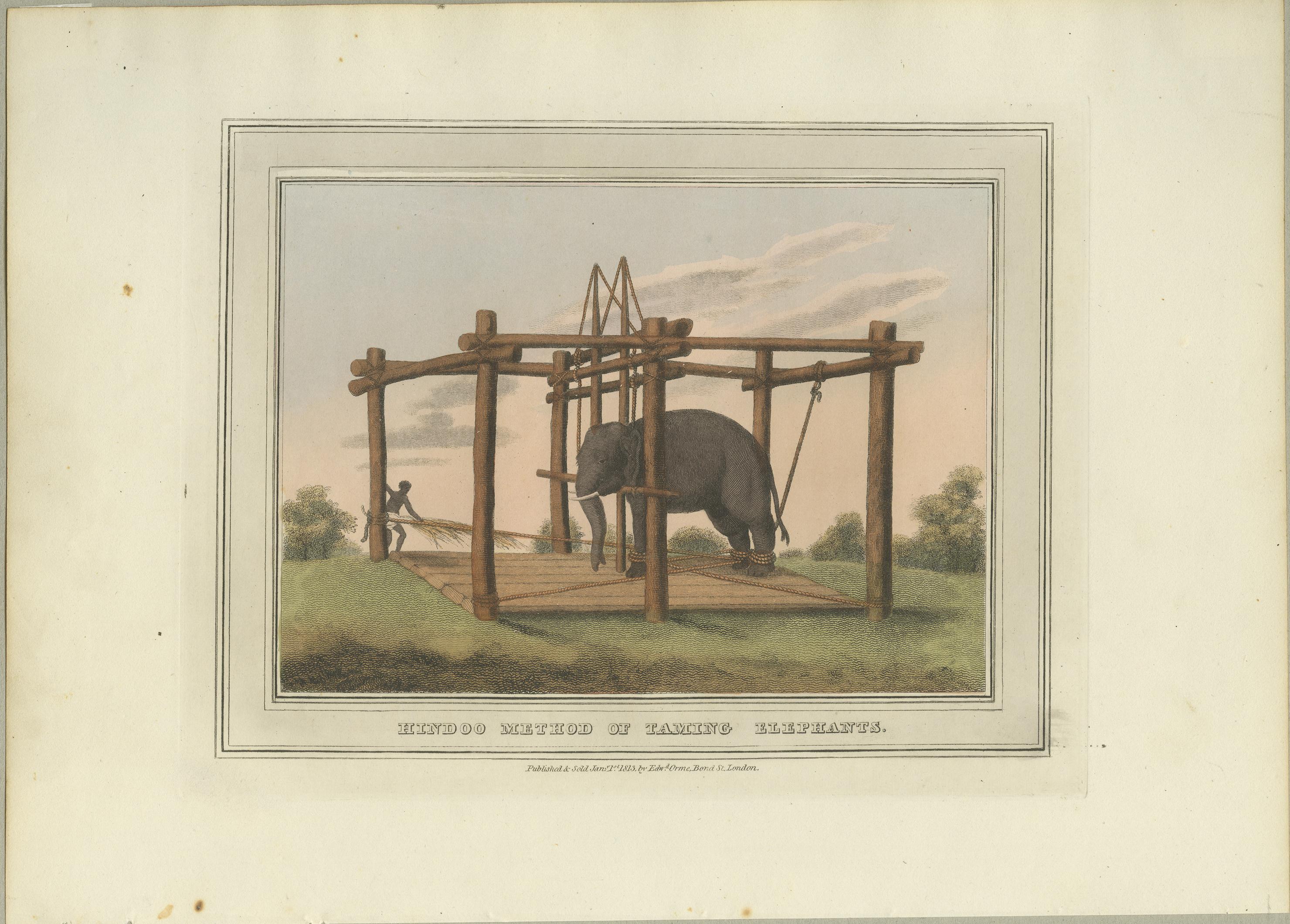 Four Fine Hand-Colored Engravings Depicting the Use of Elephants in India, 1813 4