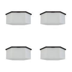 Two Sconces or Flush Mount Ceiling Lights by Angelo Lelli for Arredoluce