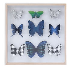 Four Handcut Butterfly Boxes