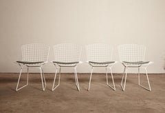 Four Harry Bertoia for Knoll Wire Chairs with Original Seat Pads, USA, 1960s