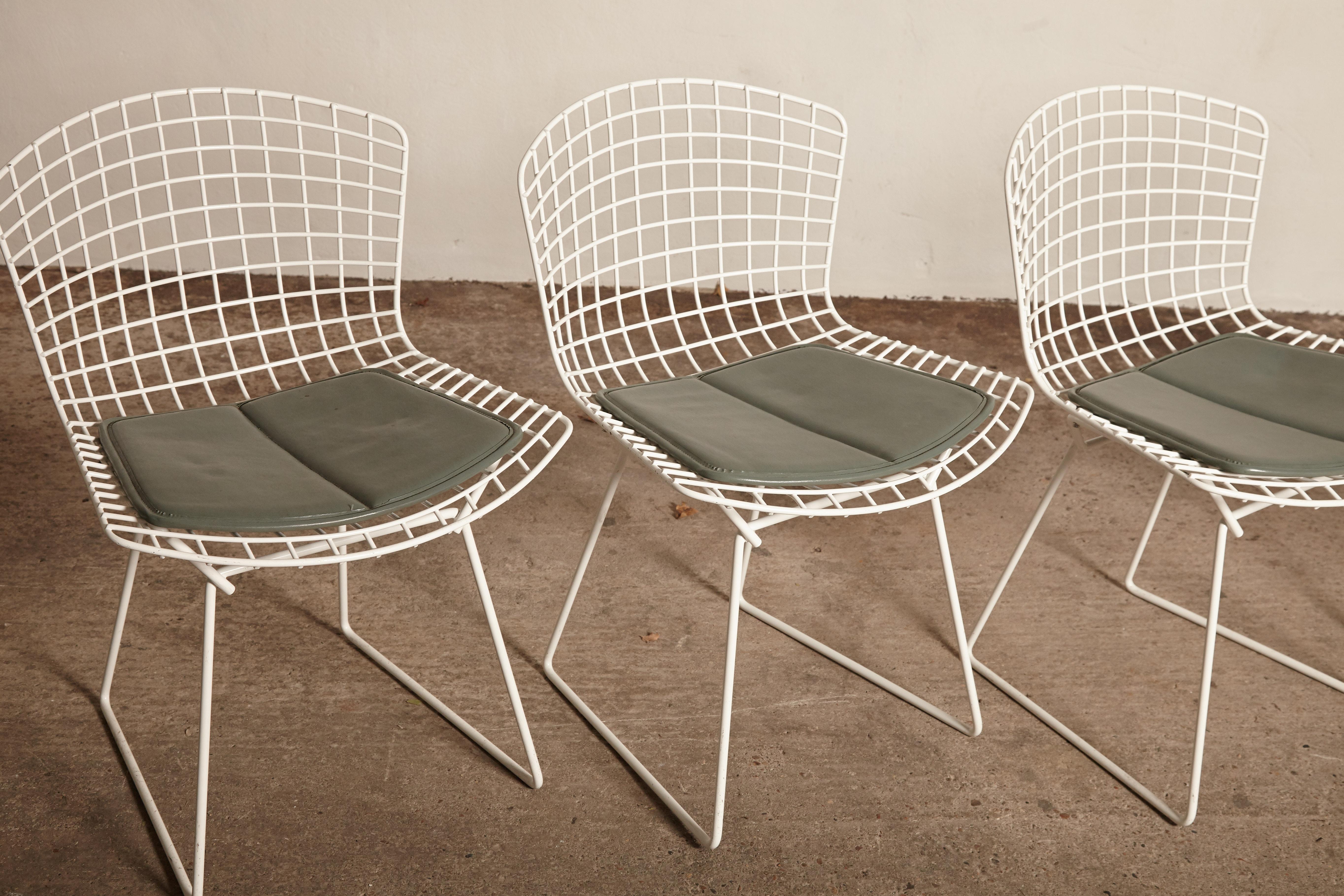 Four Harry Bertoia for Knoll Wire Chairs with Original Seat Pads, USA, 1960s 2