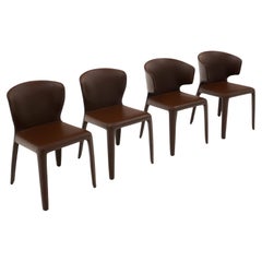 Four "Hola" Chairs by Hannes Wettstein for Cassina, Italy, Brown Leather