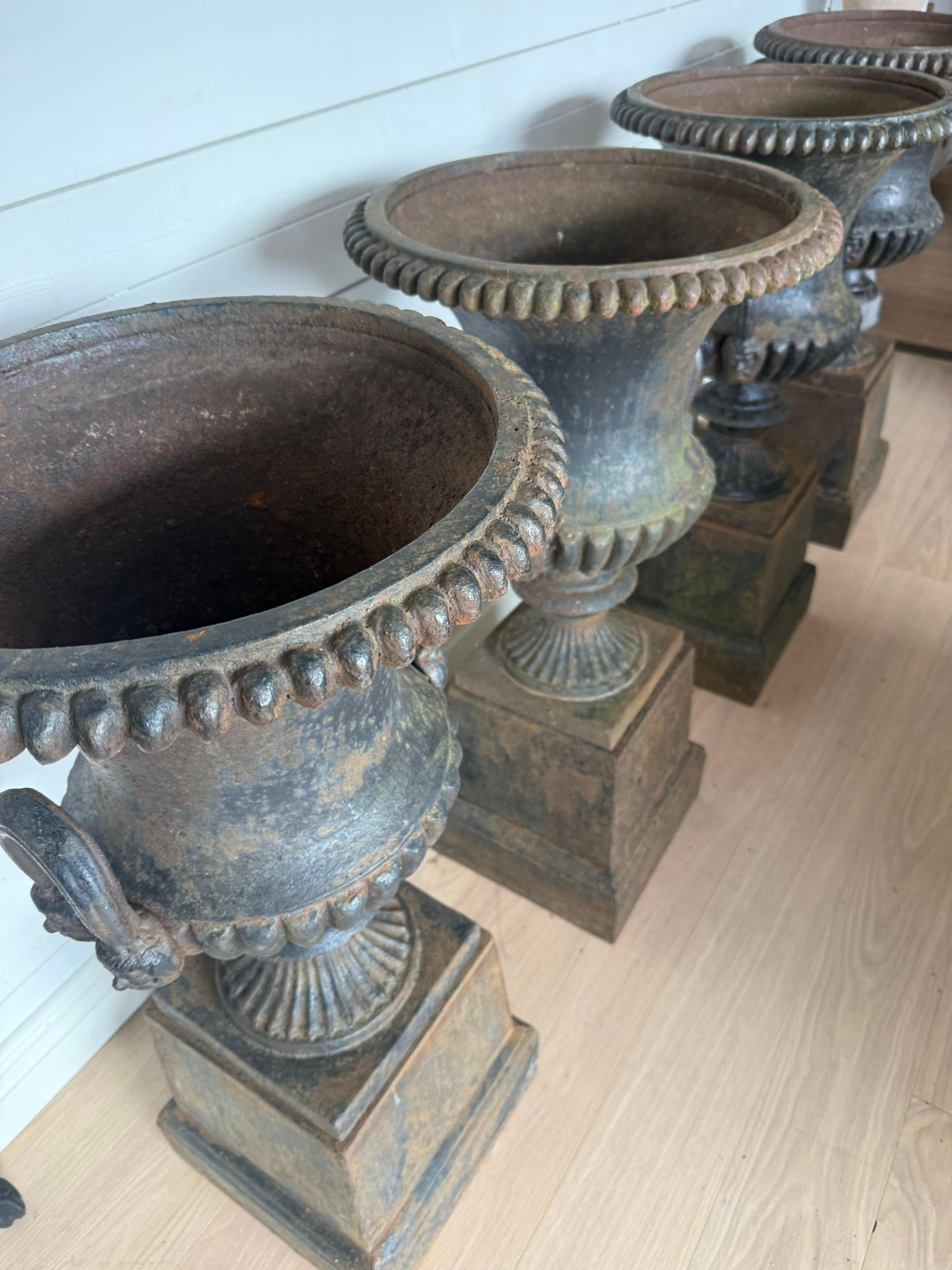 Four Large Capagna Form Black Cast Iron Planters Urns with bases For Sale 13