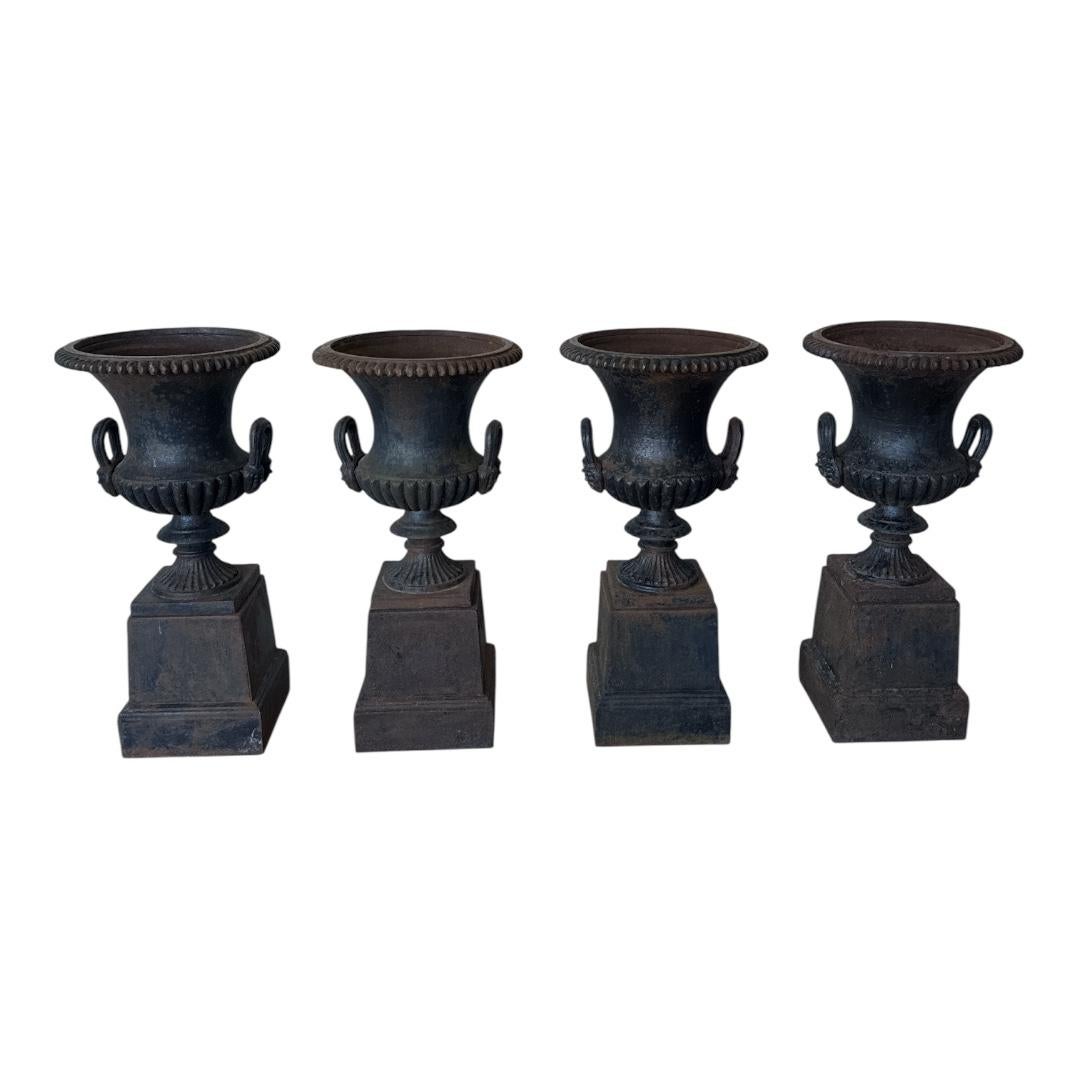 Neoclassical Four Large Capagna Form Black Cast Iron Planters Urns with bases For Sale