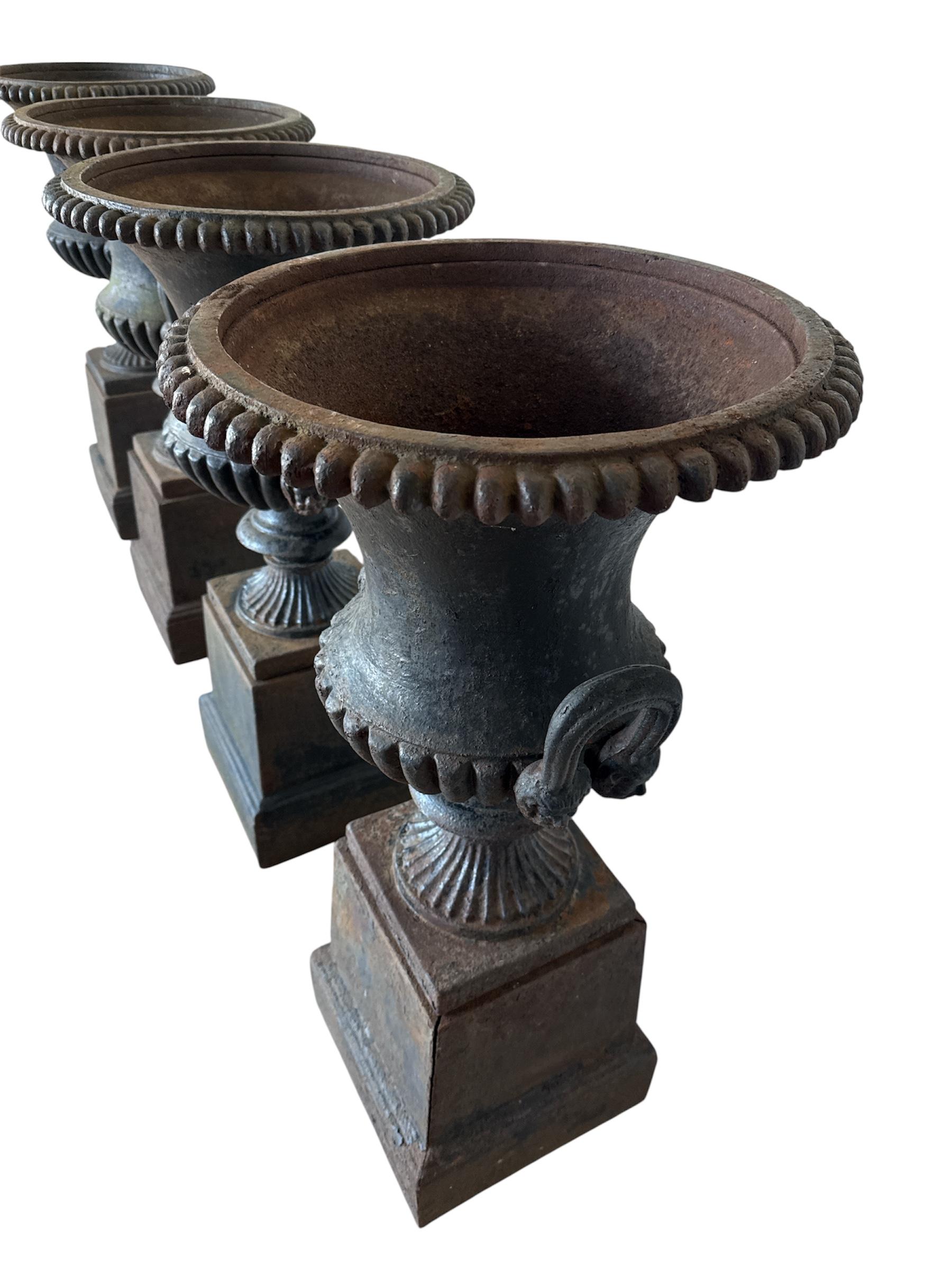 English Four Large Capagna Form Black Cast Iron Planters Urns with bases For Sale