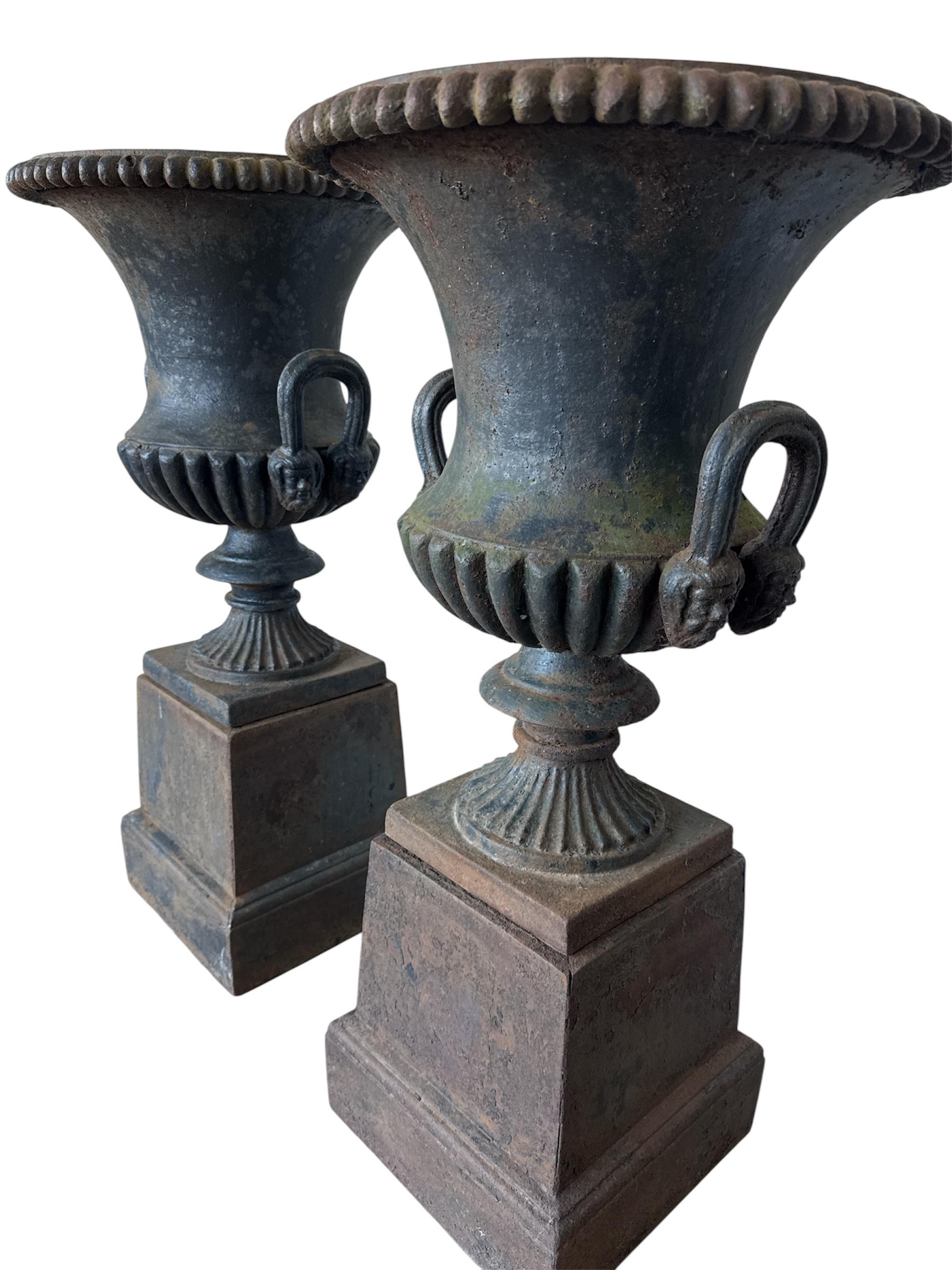 Four Large Capagna Form Black Cast Iron Planters Urns with bases In Fair Condition For Sale In Kvidinge, SE