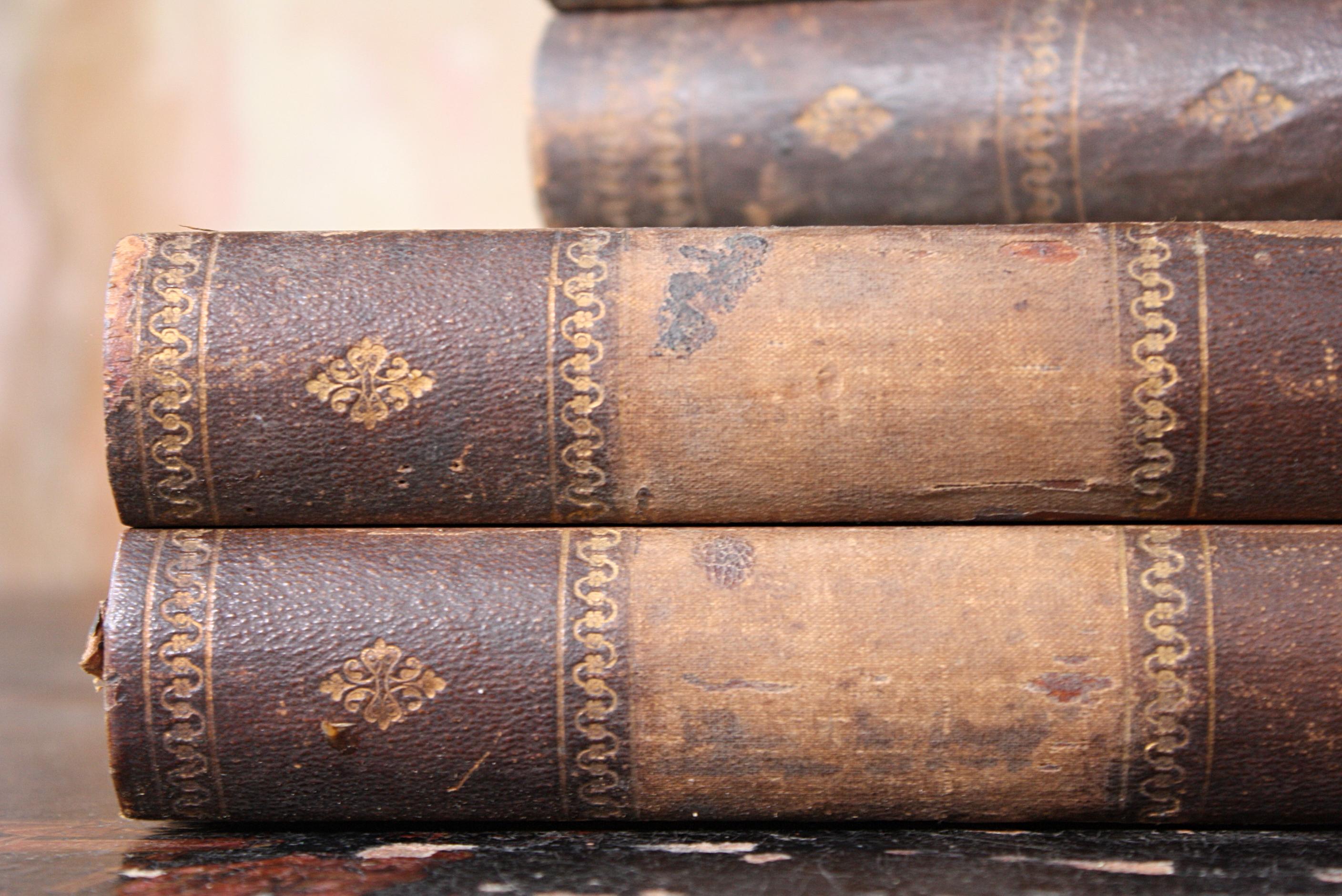 Four Late 19th Century Lepidopterology & Enthmology Faux Book Box Specimens 9