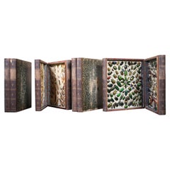 Antique Four Late 19th Century Lepidopterology & Enthmology Faux Book Box Specimens