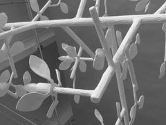 Four Leaf Cluster Plaster Chandelier