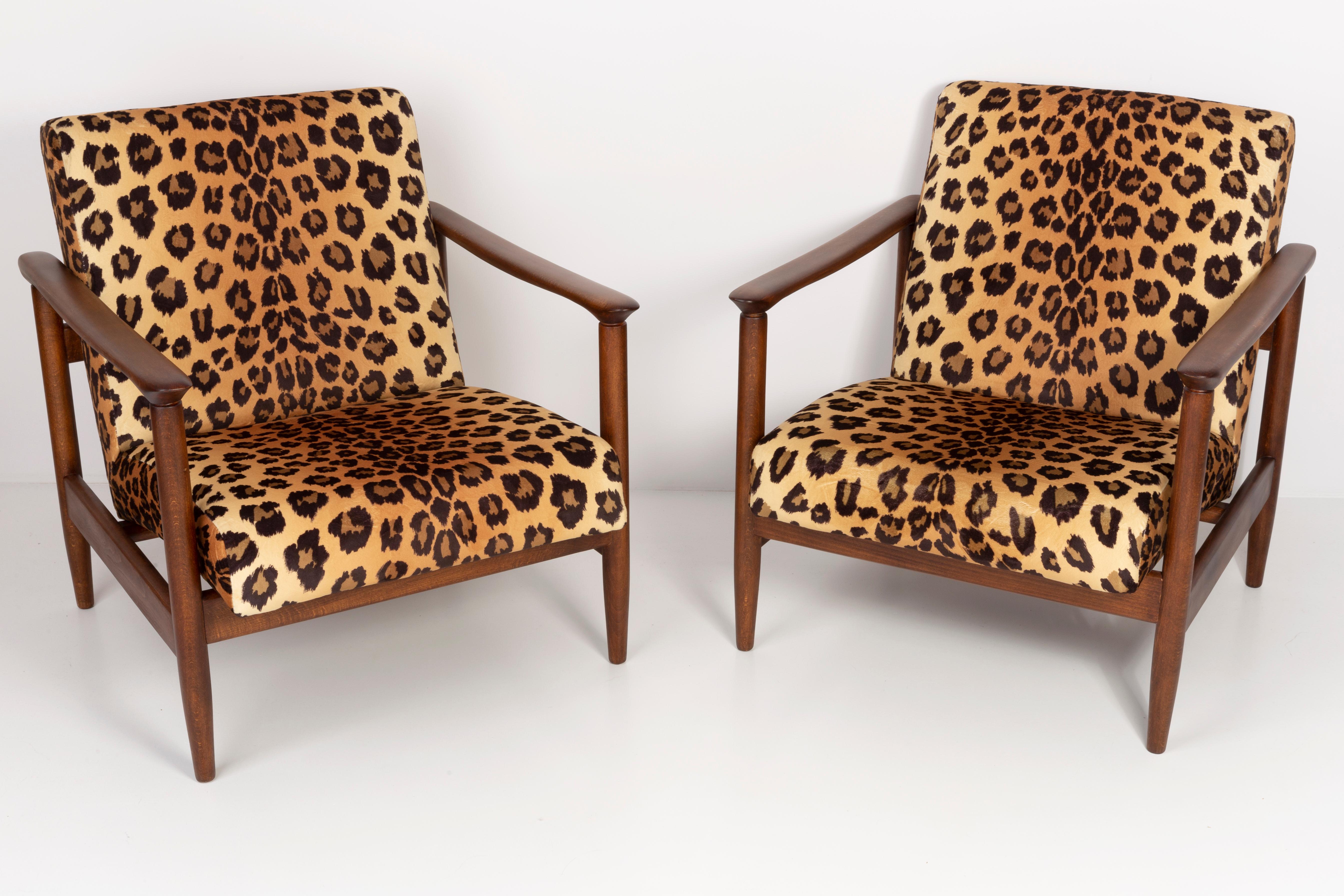 Set of 4 armchairs GFM-142 leopard armchairs, designed by Edmund Homa, a polish architect, designer of Industrial Design and interior architecture, professor at the Academy of Fine Arts in Gdansk.

The armchairs were made in the 1960s in the