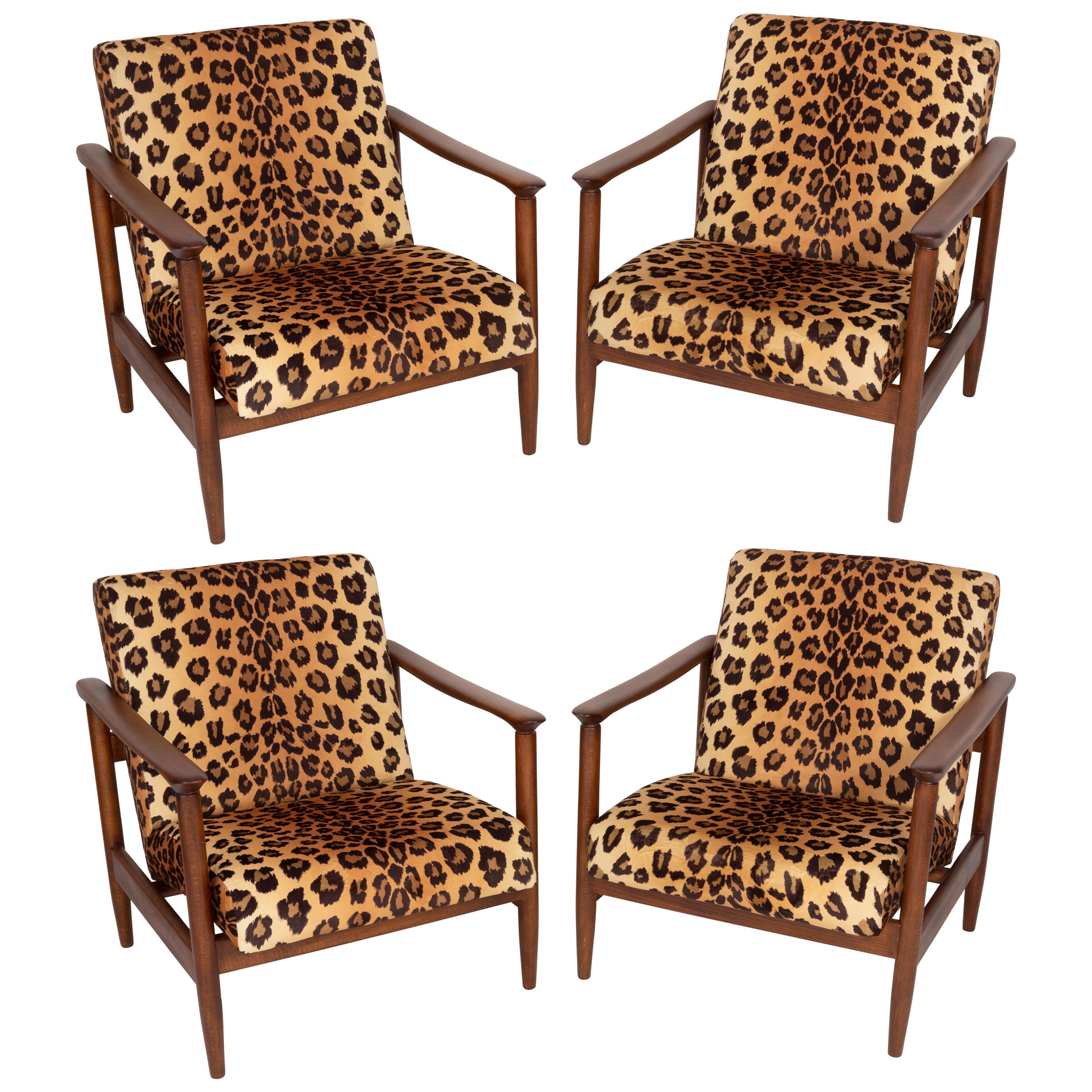Vier Sessel mit Leopardenmuster aus Samt, Hollywood Regency, Edmund Homa, 1960er Jahre, Polen