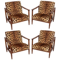 Four Leopard Velvet Armchairs, Hollywood Regency, Edmund Homa, 1960s, Poland