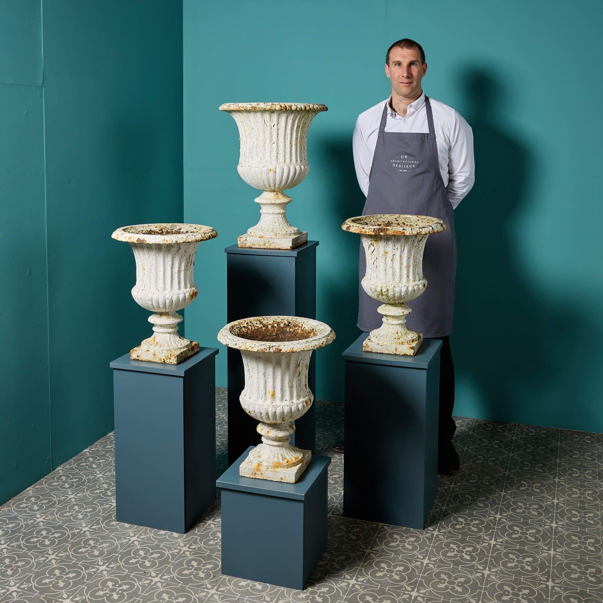 Un groupe de quatre charmantes urnes de jardin Campana en fonte.

D'un design identique à celui d'une urne de plus grande taille, ces urnes victoriennes usées par le temps constitueront un ajout élégant aux jardins anciens et nouveaux.

A coiffer