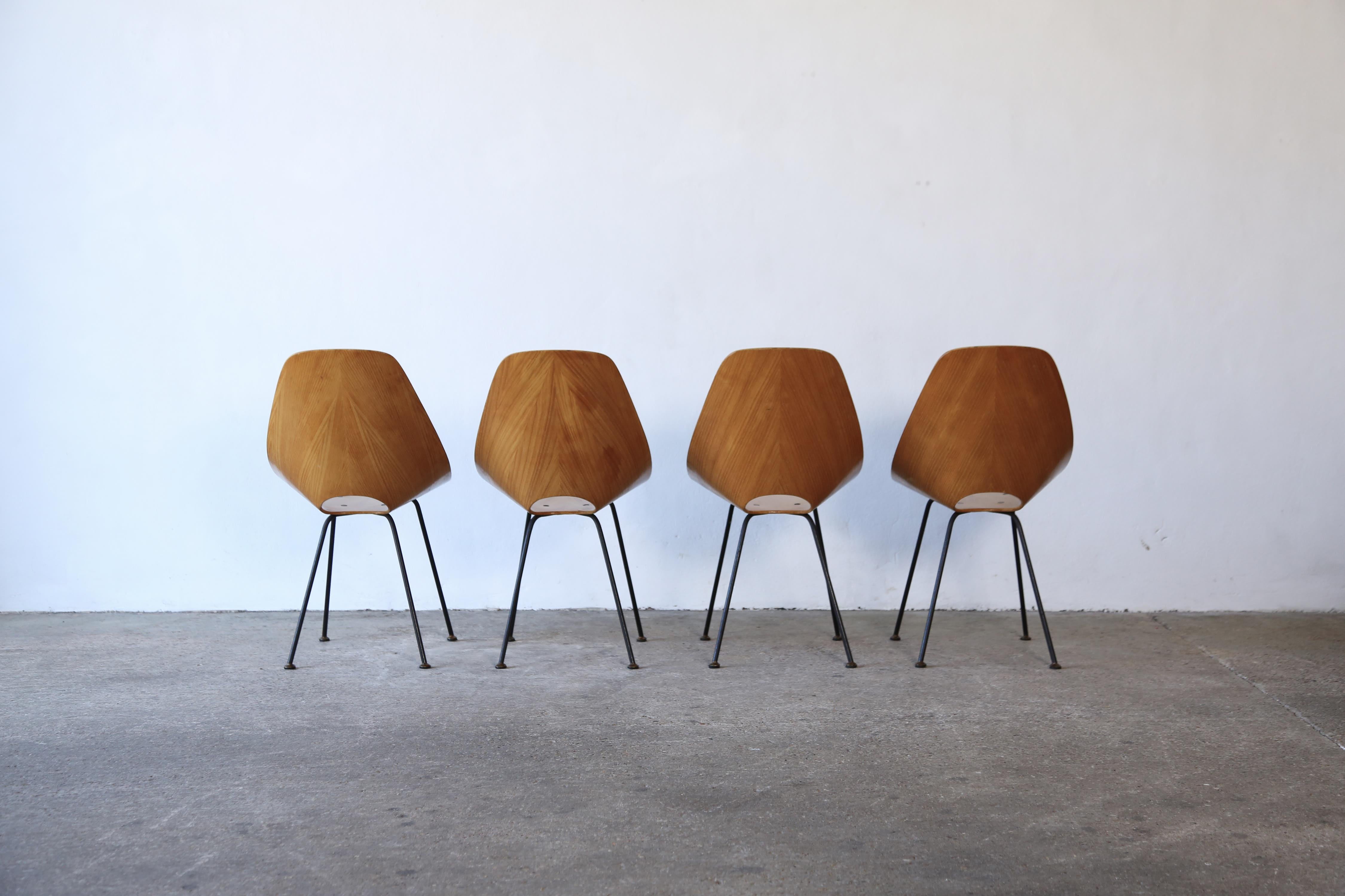 Four Medea Chairs by Vittorio Nobili, Fratelli Tagliabue, Italy, 1950s For Sale 3