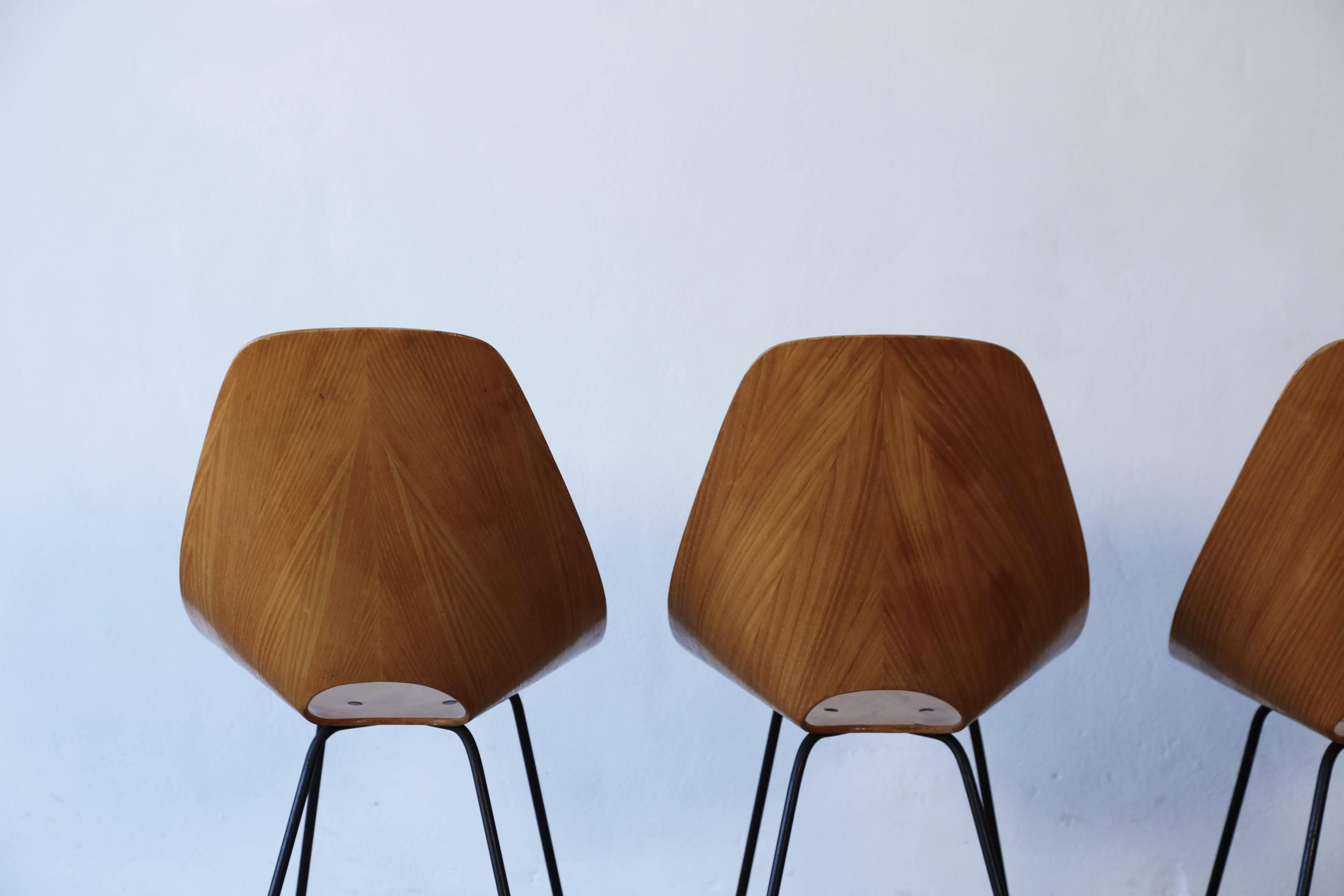 Four Medea Chairs by Vittorio Nobili, Fratelli Tagliabue, Italy, 1950s For Sale 4