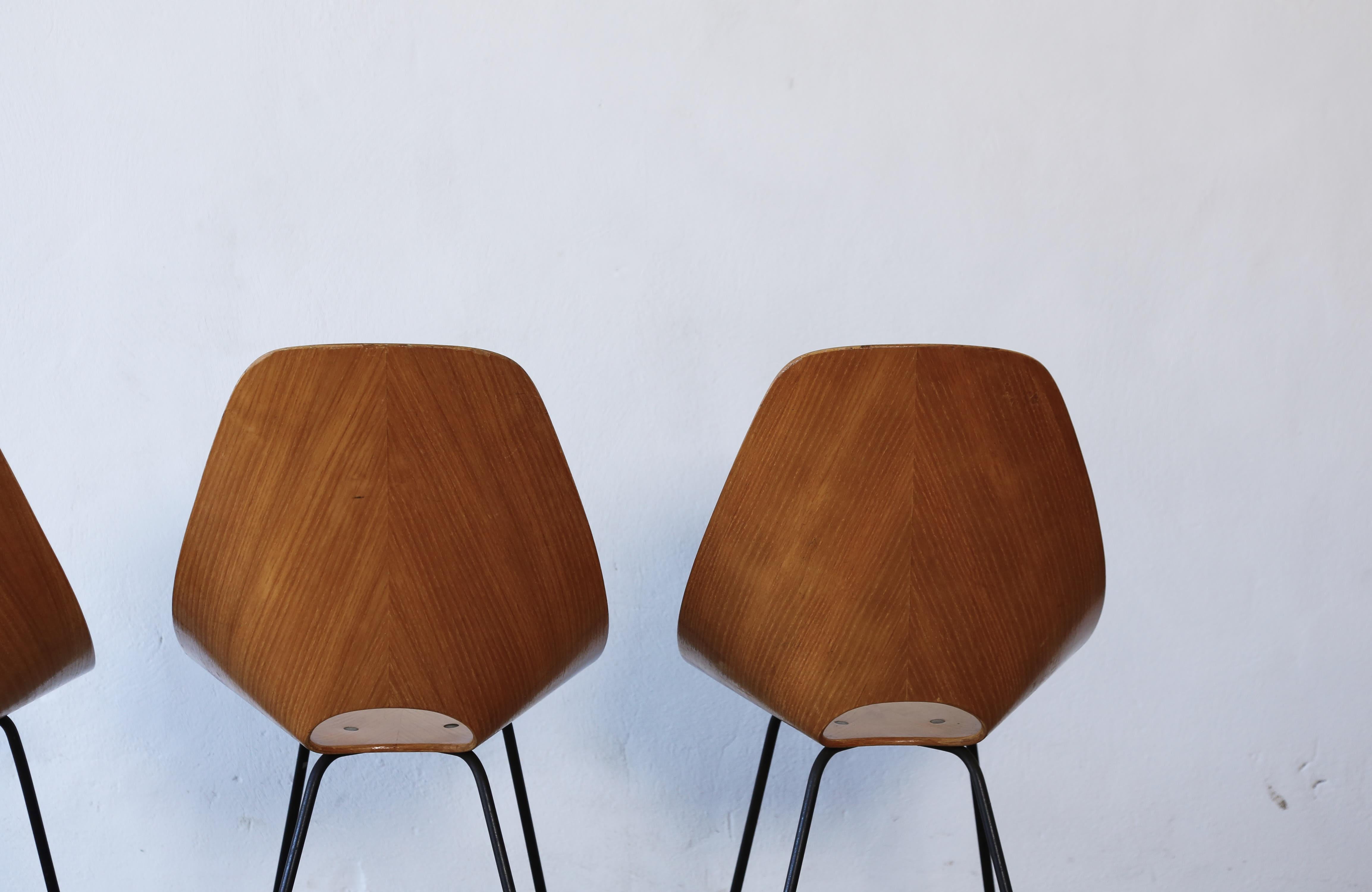 Four Medea Chairs by Vittorio Nobili, Fratelli Tagliabue, Italy, 1950s For Sale 5