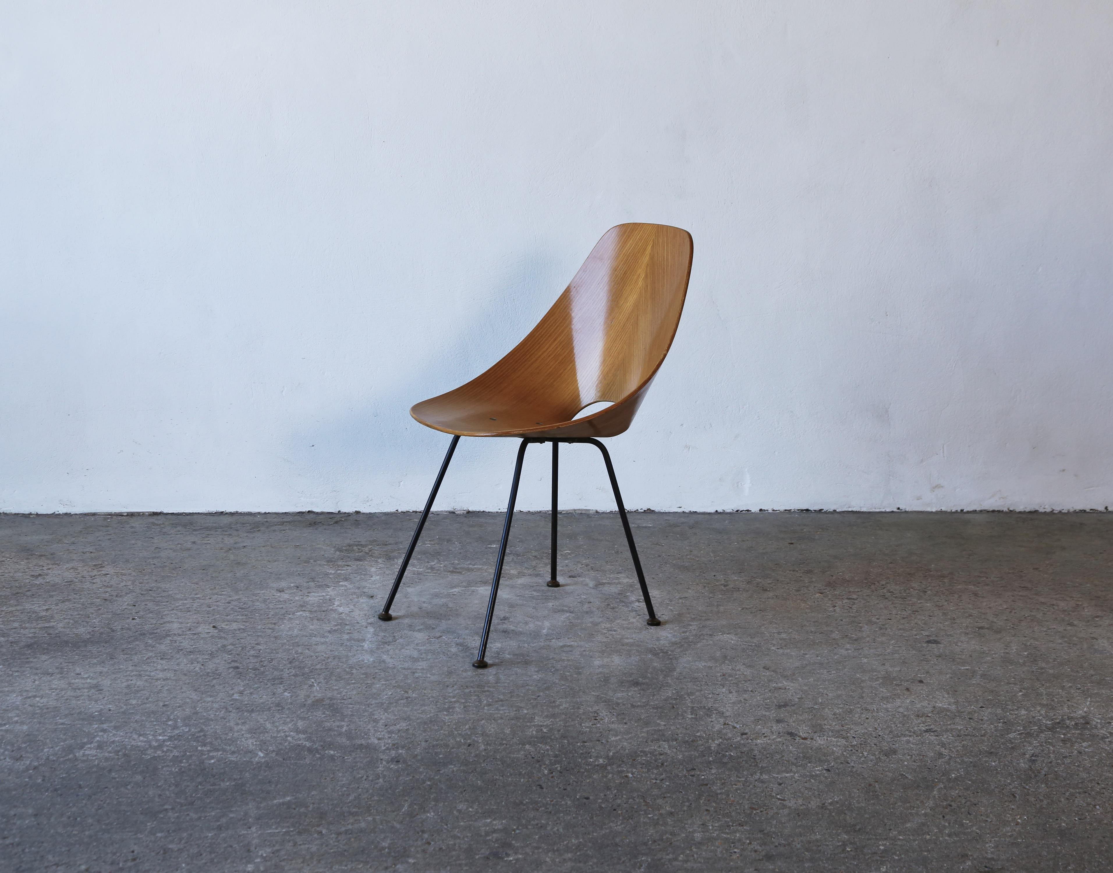 Mid-Century Modern Four Medea Chairs by Vittorio Nobili, Fratelli Tagliabue, Italy, 1950s For Sale