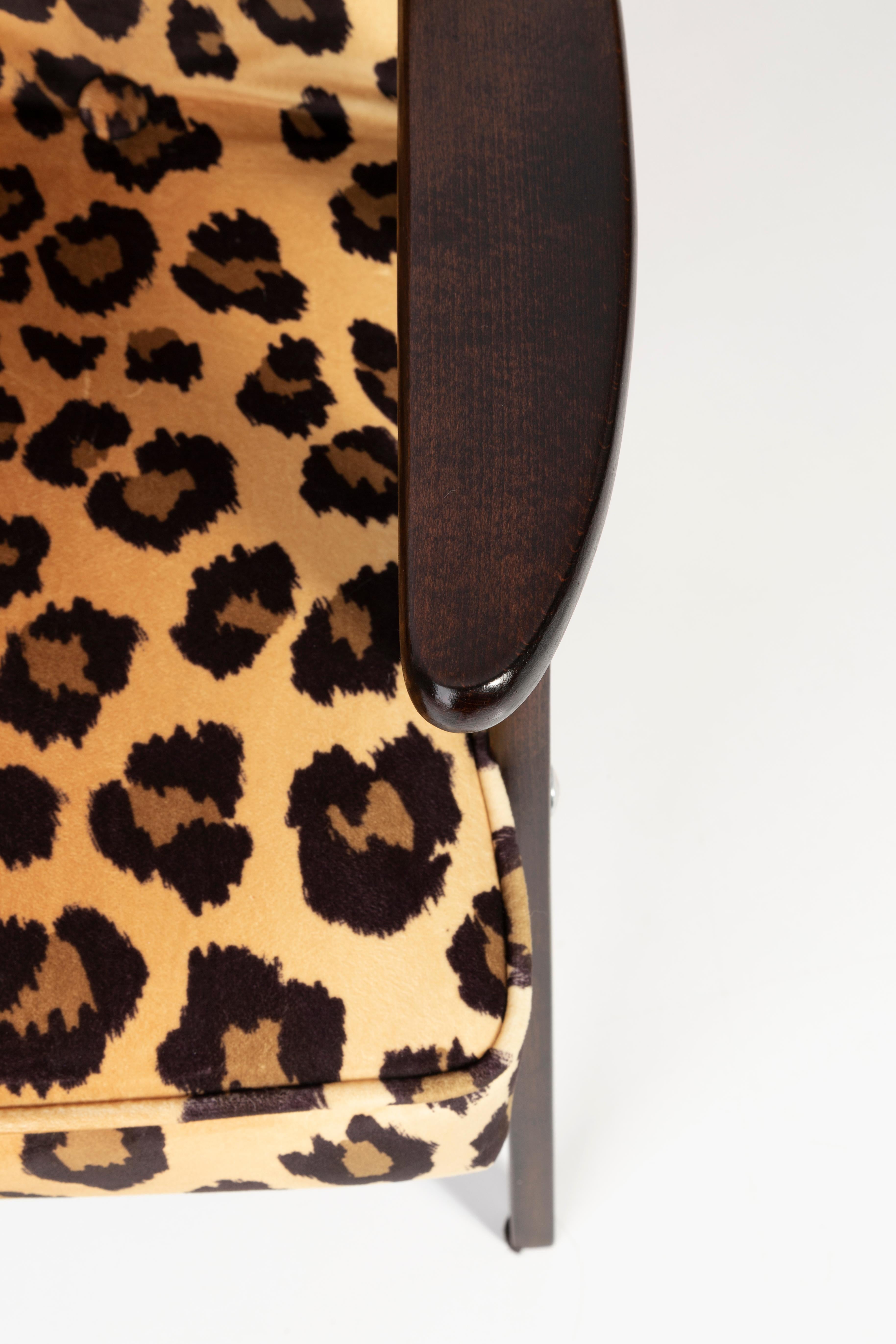 Quattro poltrone Midcentury 366 in velluto leopardato, Jozef Chierowski, anni '60 in vendita 2