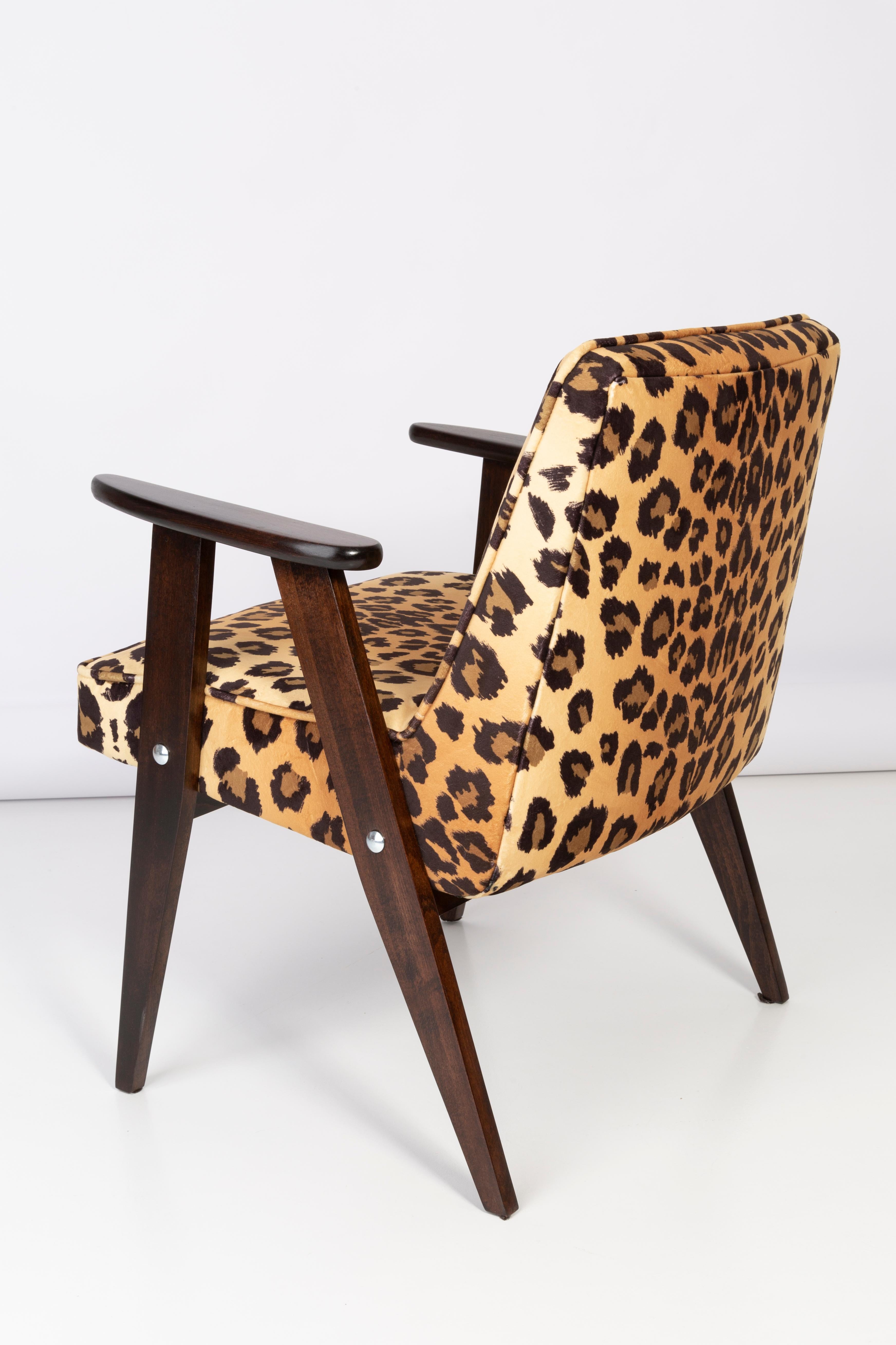 20th Century Four Midcentury 366 Armchairs in Leopard Print Velvet, Jozef Chierowski, 1960s For Sale