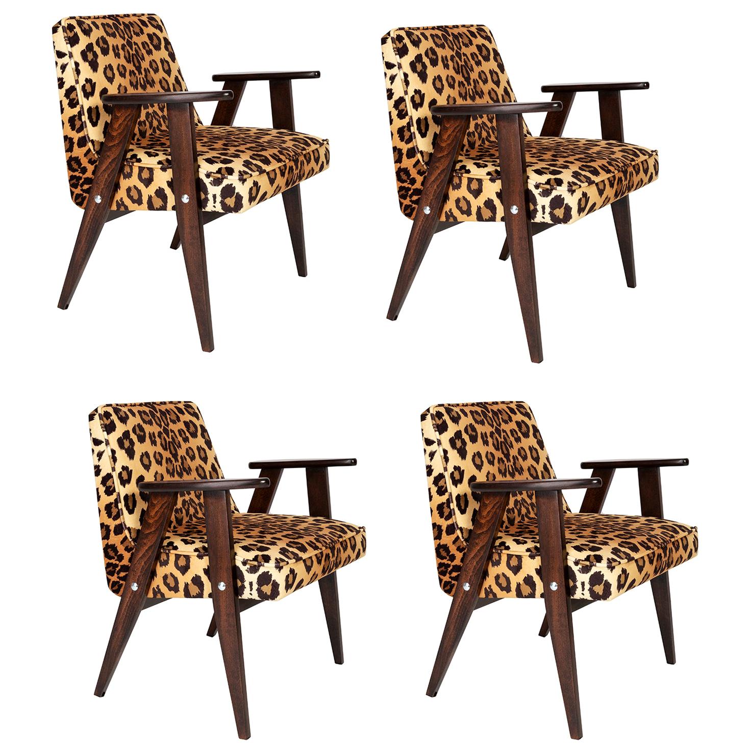 Four Midcentury 366 Armchairs in Leopard Print Velvet, Jozef Chierowski, 1960s For Sale