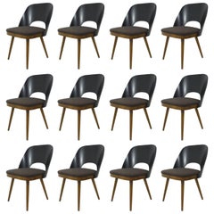 Four Modernist Chairs in the Style of Oswald Haerdtl, Backhausen, Austria