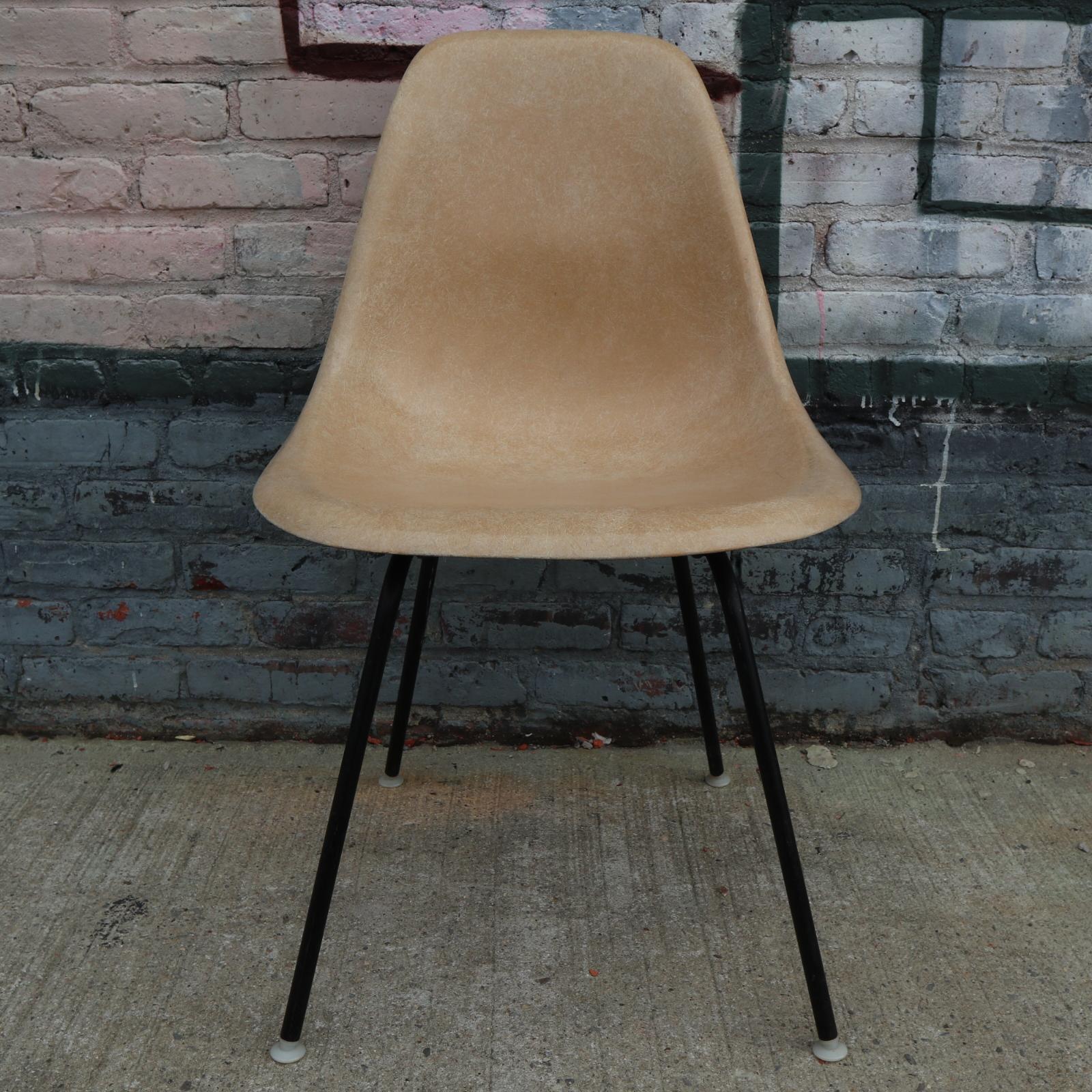 Set of 4 Herman Miller Eames fiberglass dining chair in neutral tones. This set of colors will match almost any decor without overpowering surrounding furniture. All authentic and signed shells with vintage Herman Miller bases. All glides attached