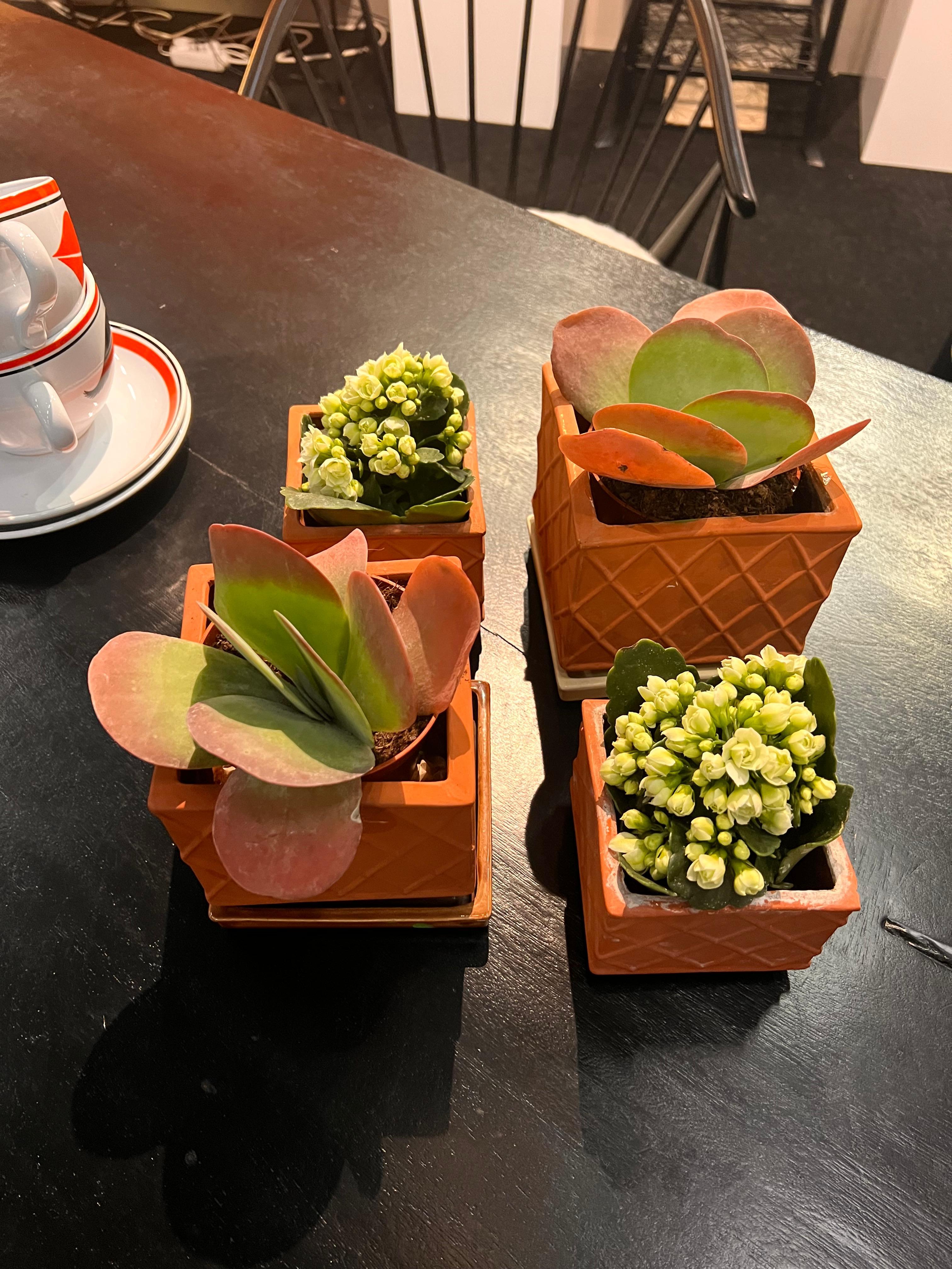 Vier Pflanzgefäße mit zwei Schalen des Modells Planta, entworfen von Wilhelm Kåge ay Gustavsberg. Die größeren sind einmal 13 x 13 cm und 11 cm hoch (5,2