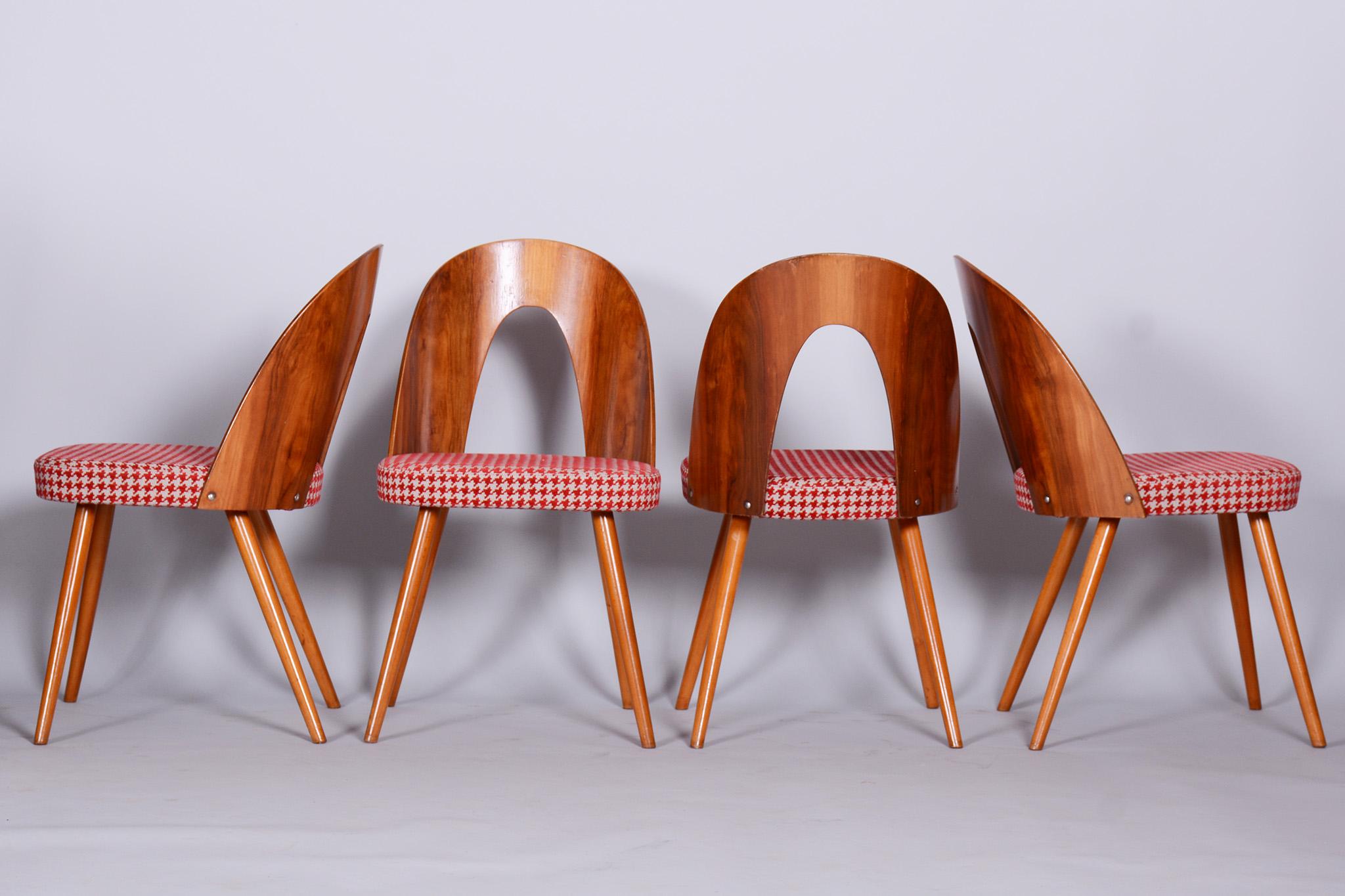 Four Restored Midcentury Chairs, Antonin Suman, Beech, Walnut, Czechia, 1950s For Sale 4