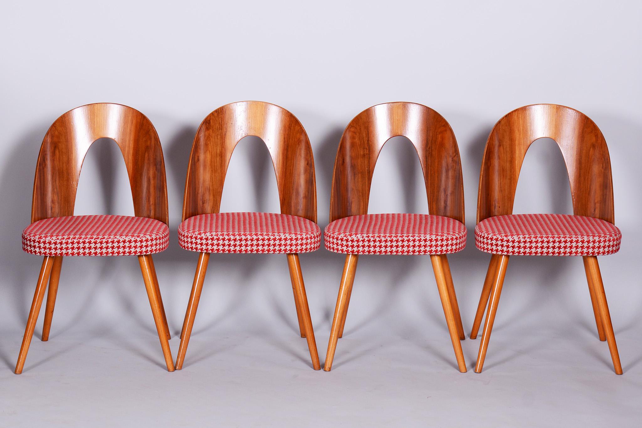 Four Restored Midcentury Chairs, Antonin Suman, Beech, Walnut, Czechia, 1950s For Sale 5