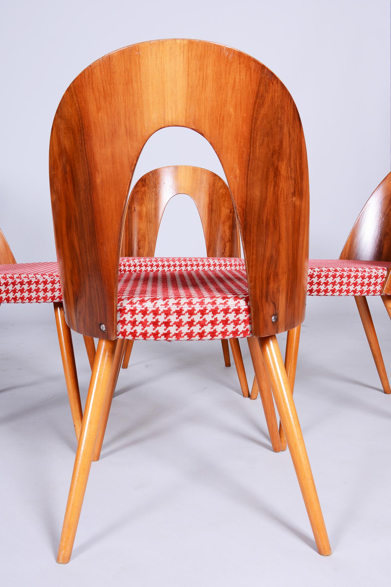 Four Restored Midcentury Chairs, Antonin Suman, Beech, Walnut, Czechia, 1950s In Good Condition For Sale In Horomerice, CZ
