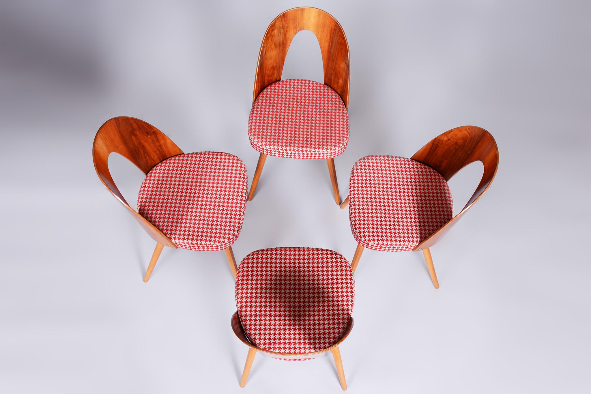 20th Century Four Restored Midcentury Chairs, Antonin Suman, Beech, Walnut, Czechia, 1950s For Sale