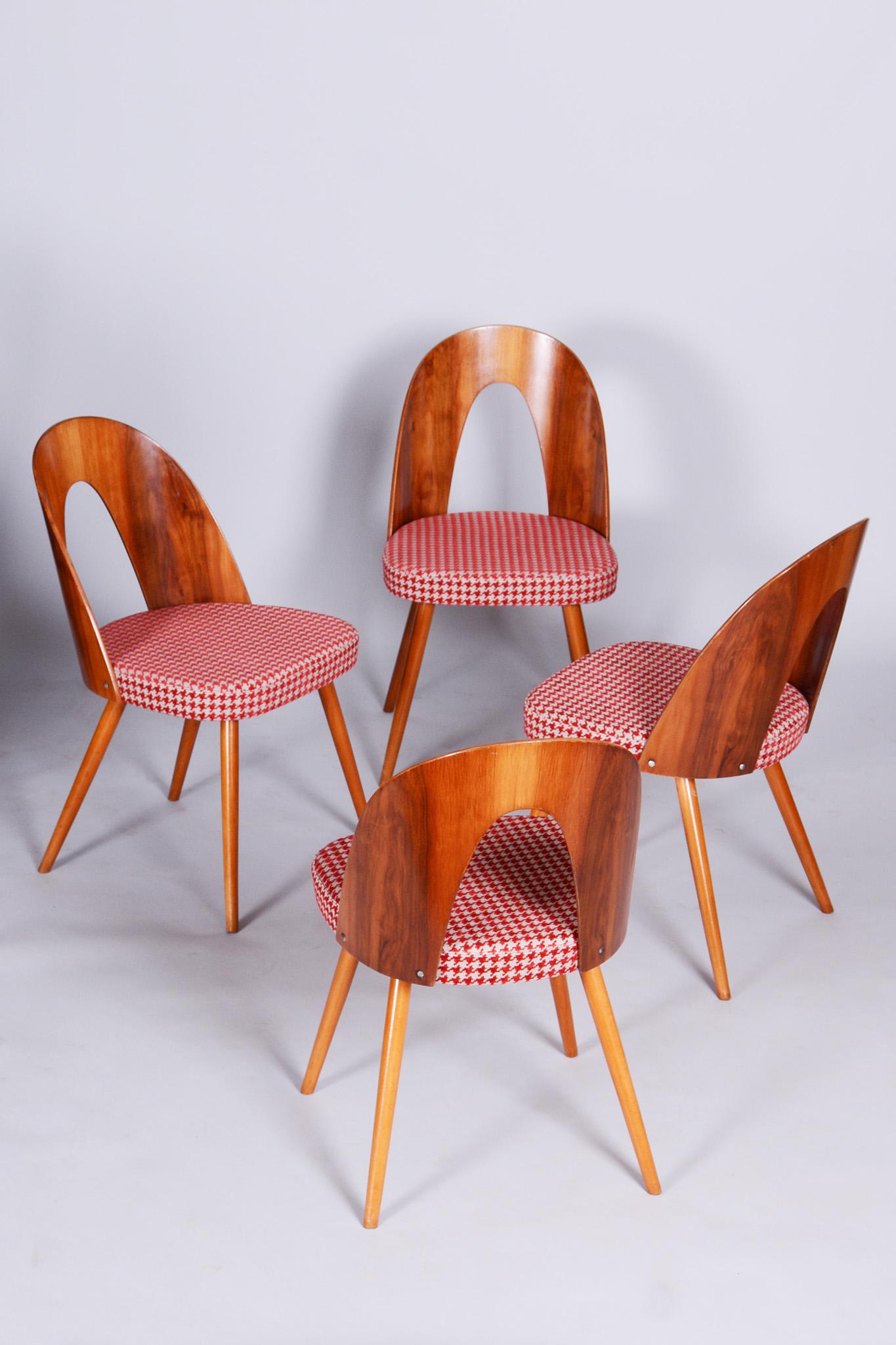 Four Restored Midcentury Chairs, Antonin Suman, Beech, Walnut, Czechia, 1950s For Sale 1