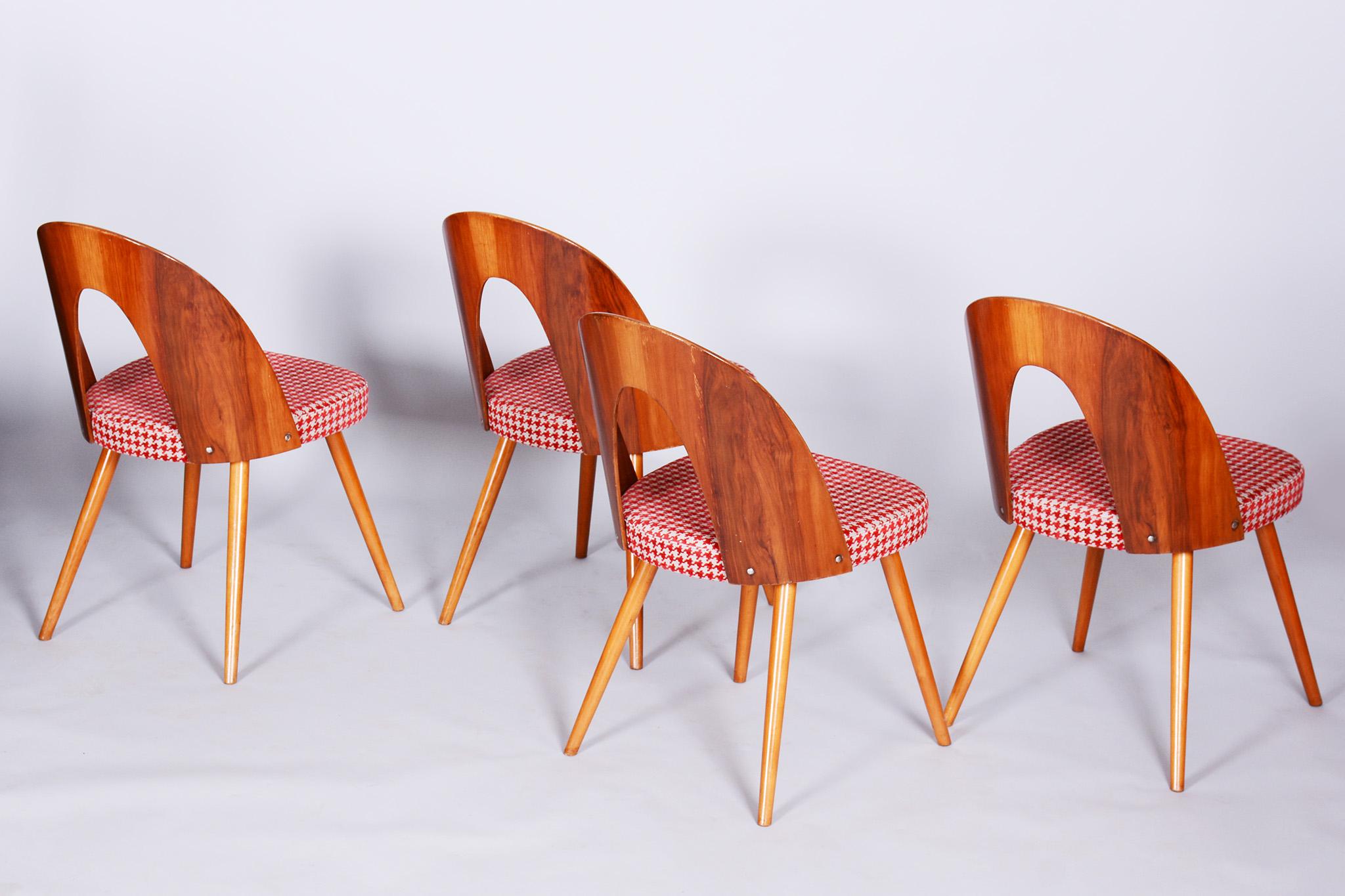 Four Restored Midcentury Chairs, Antonin Suman, Beech, Walnut, Czechia, 1950s For Sale 2