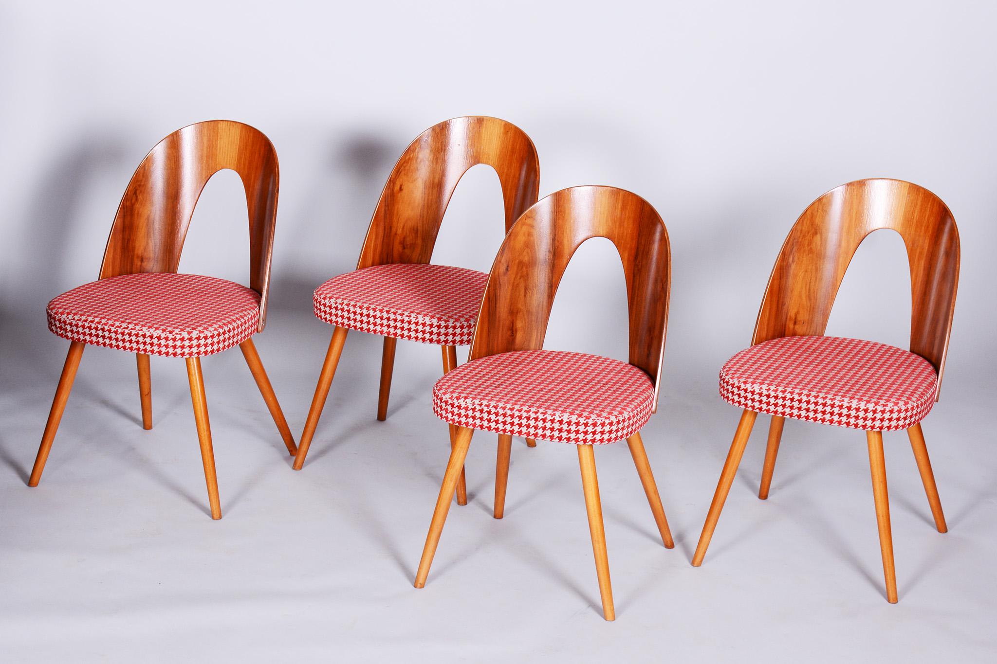 Four Restored Midcentury Chairs, Antonin Suman, Beech, Walnut, Czechia, 1950s For Sale 3