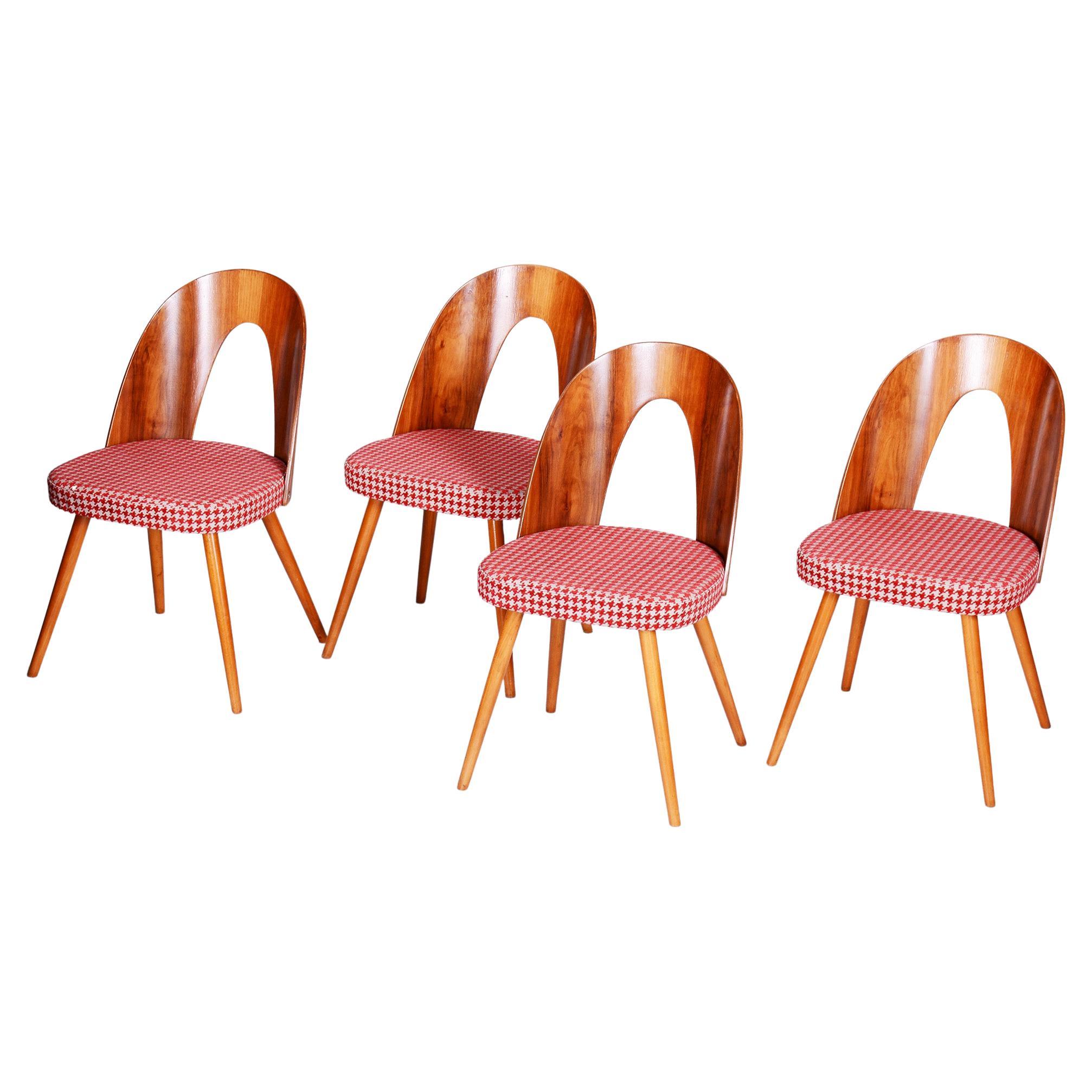 Four Restored Midcentury Chairs, Antonin Suman, Beech, Walnut, Czechia, 1950s For Sale