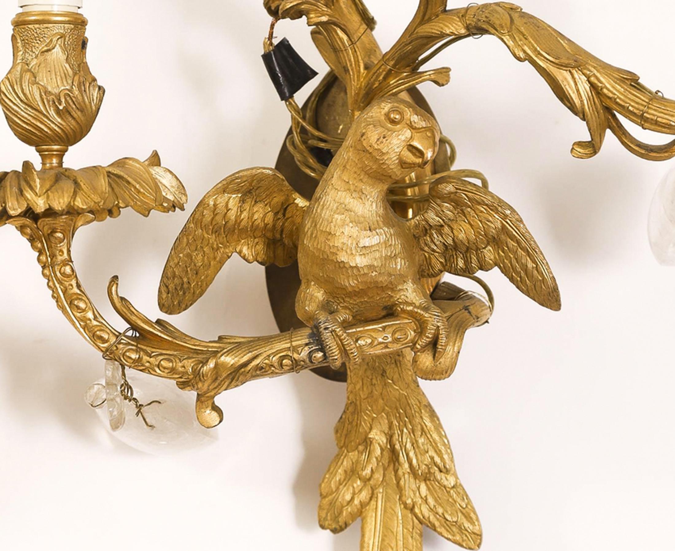 French Four Rococo Style Gilt Bronze Three Light Parrot Sconces For Sale
