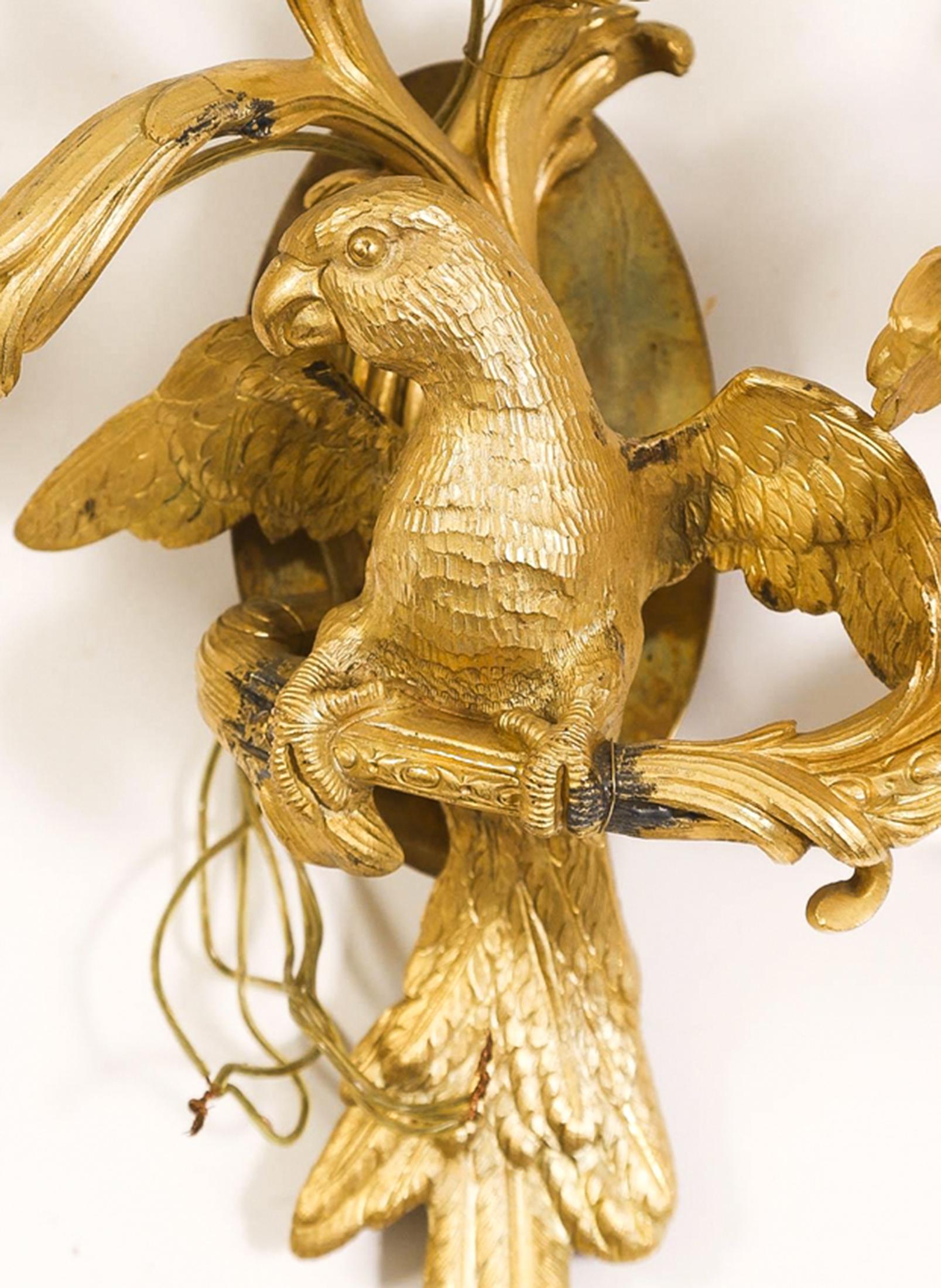 Four Rococo Style Gilt Bronze Three Light Parrot Sconces In Good Condition For Sale In New York, NY